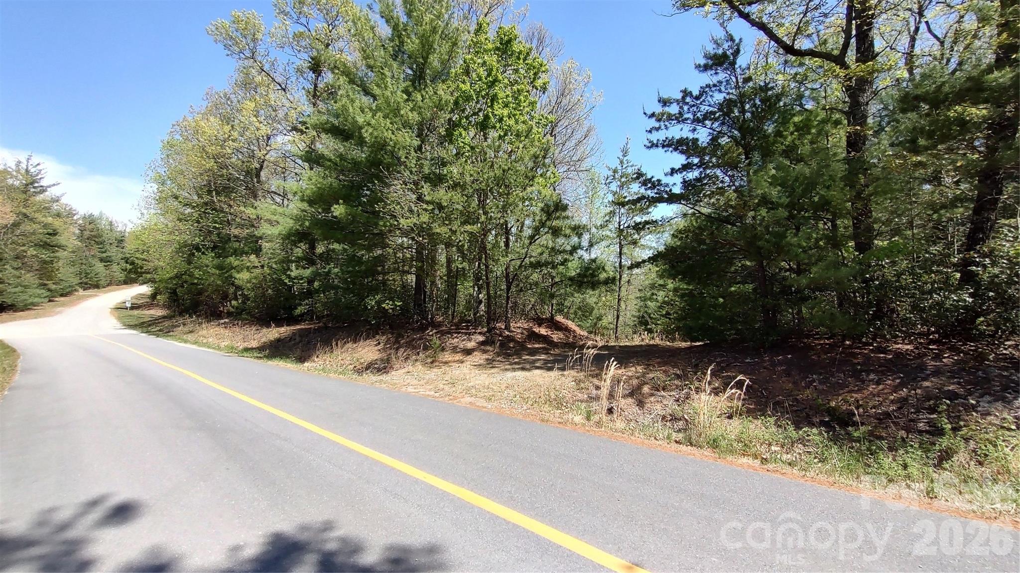 0 Staghorn Road Property Photo 1