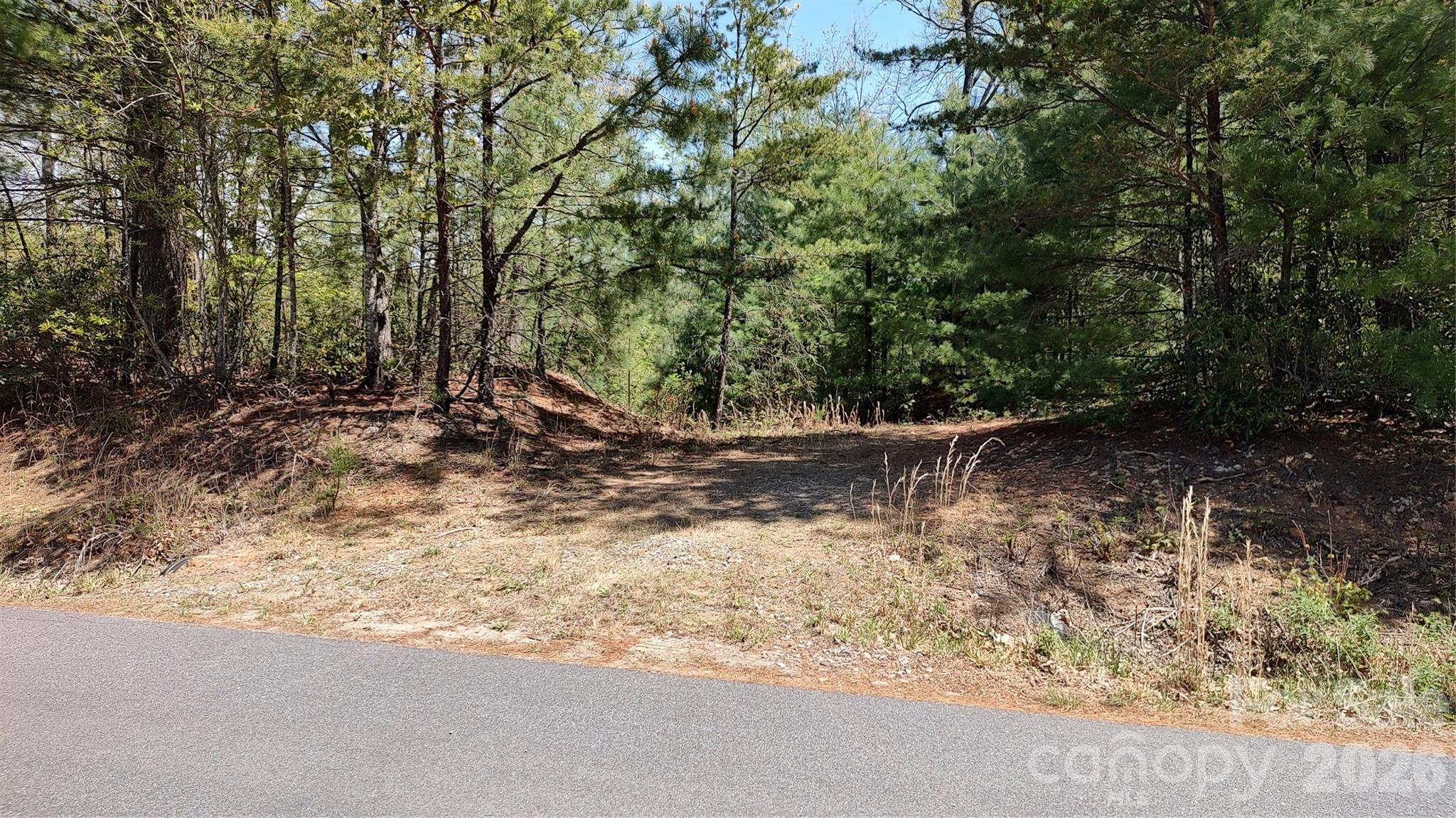 0 Staghorn Road Property Photo 3