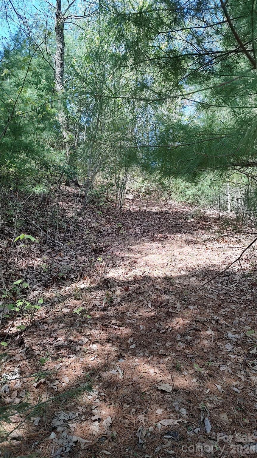 0 Staghorn Road Property Photo 6