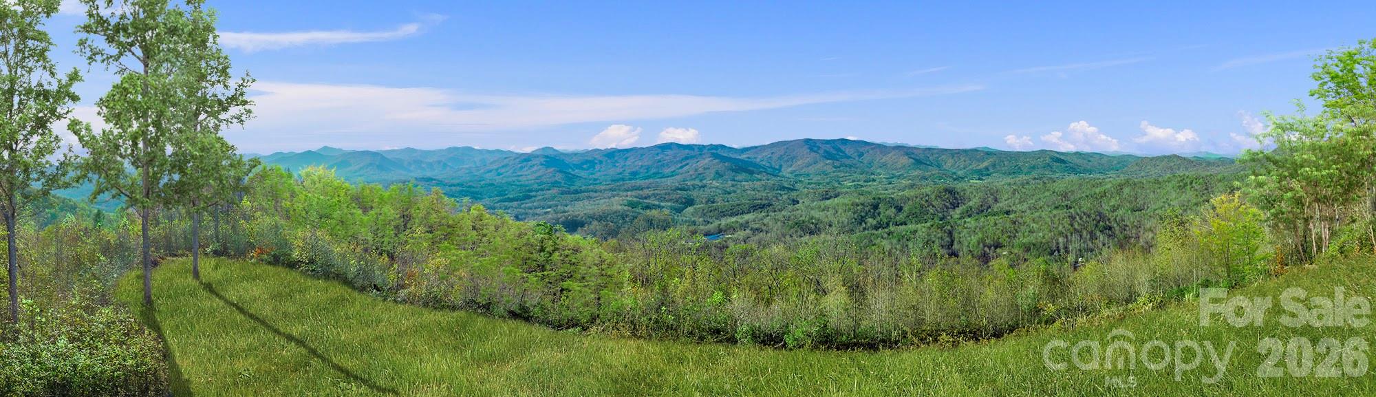 0 Shoal Ridge Lane 161.95+/- Acres Property Photo 7