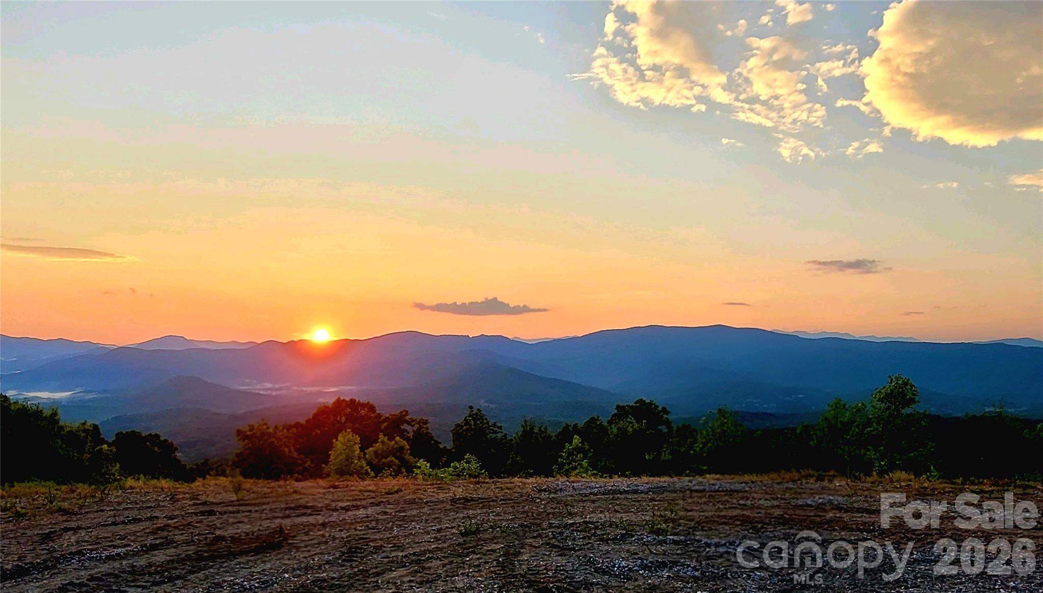 0 Shoal Ridge Lane 161.95+/- Acres Property Photo 8