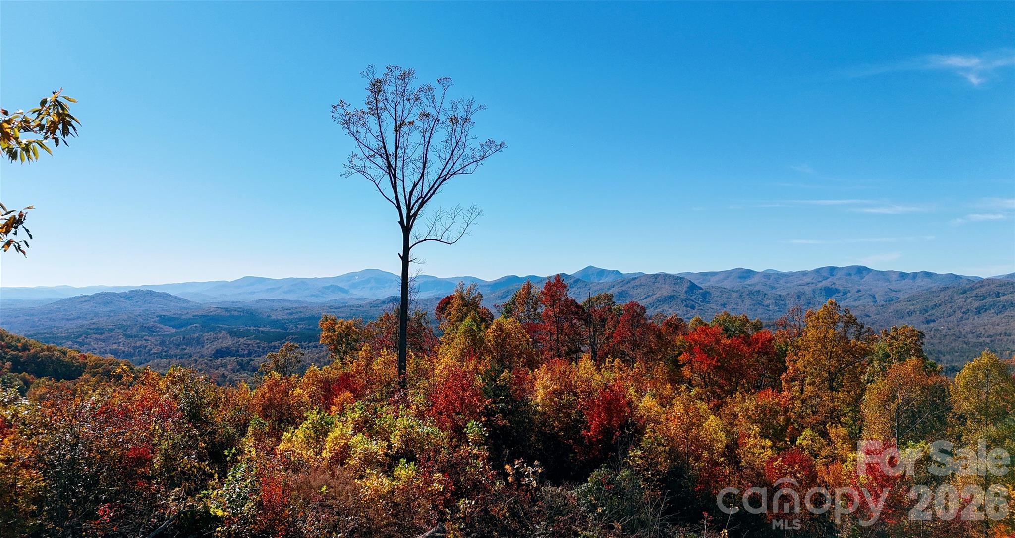0 Shoal Ridge Lane 161.95+/- Acres Property Photo 10