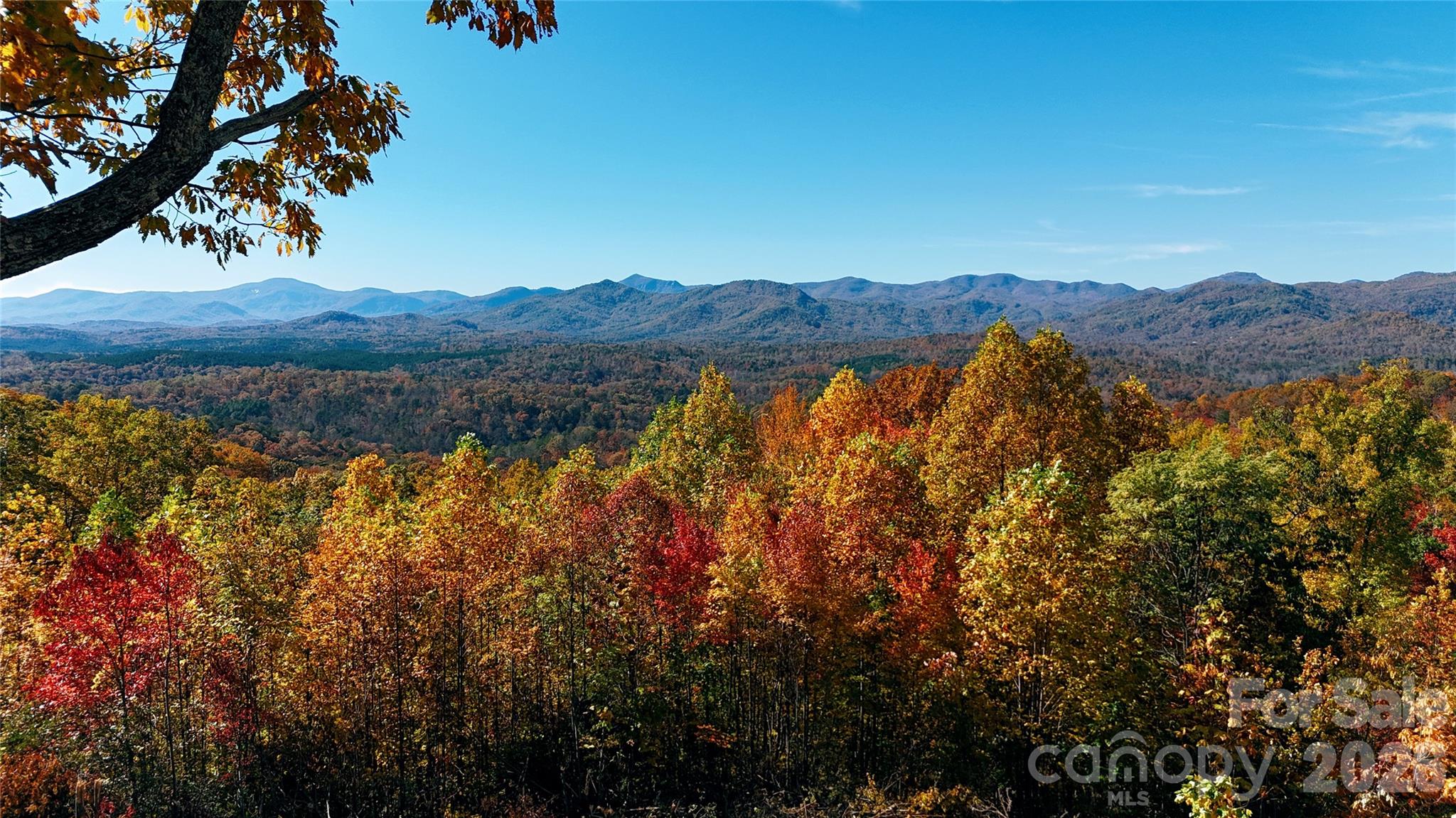 0 Shoal Ridge Lane 161.95+/- Acres Property Photo 11