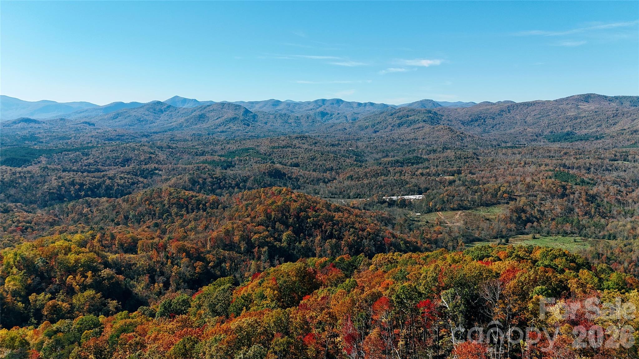 0 Shoal Ridge Lane 161.95+/- Acres Property Photo 12