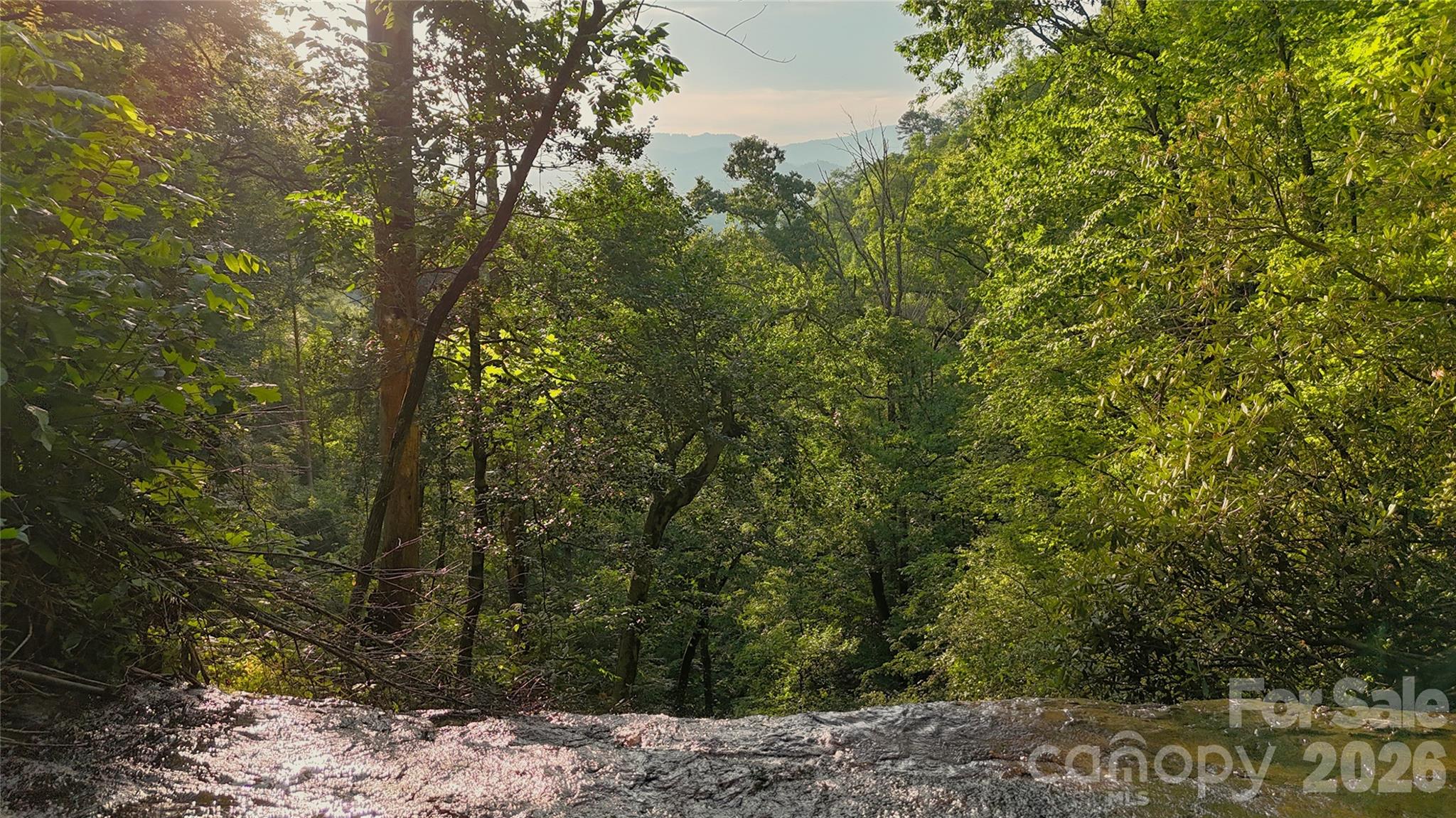0 Shoal Ridge Lane 161.95+/- Acres Property Photo 17