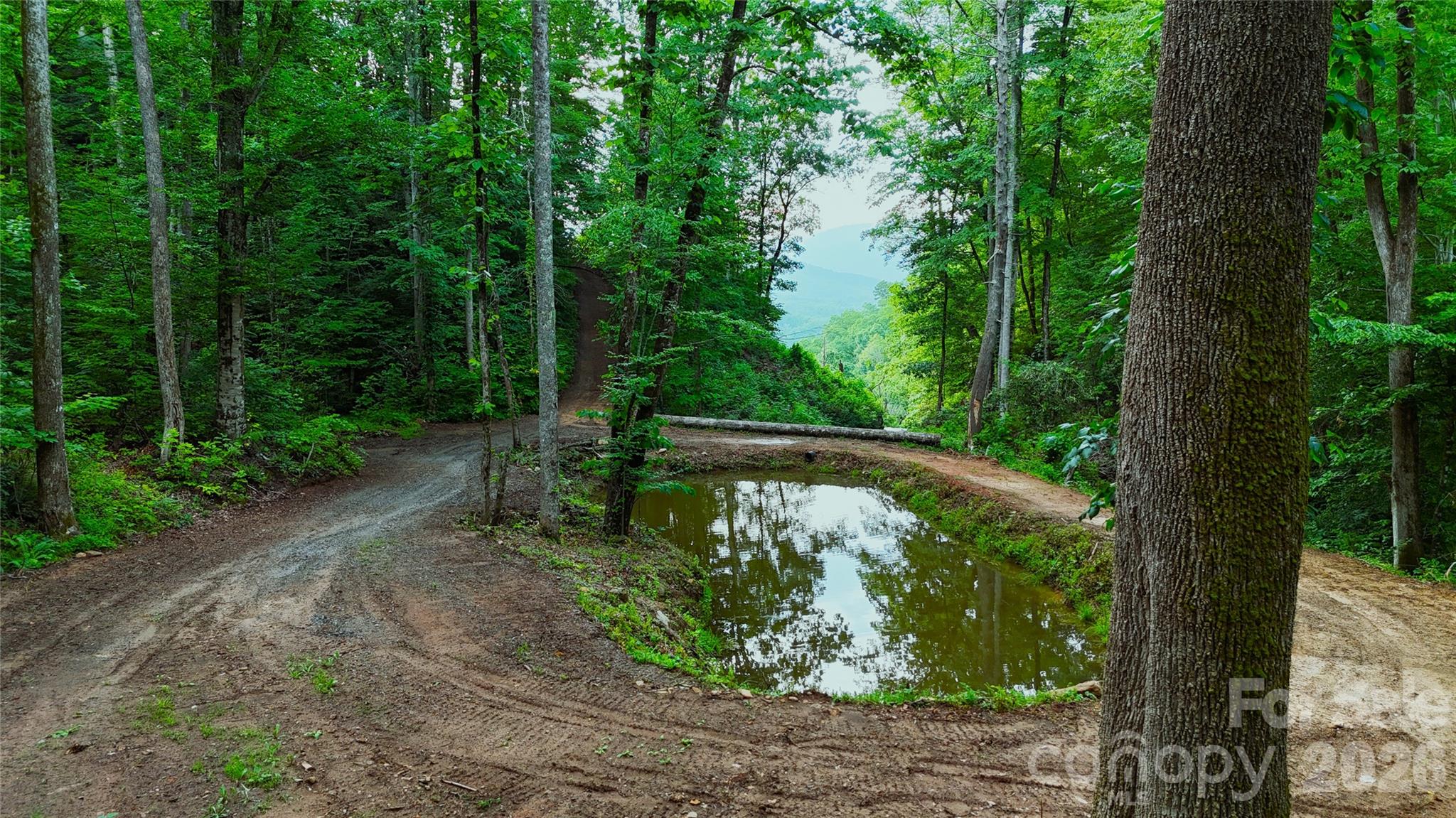 0 Shoal Ridge Lane 161.95+/- Acres Property Photo 18