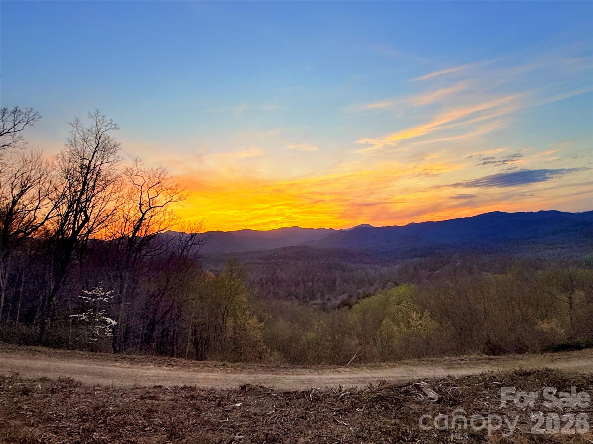 0 Shoal Ridge Lane 161.95+/- Acres Property Photo 33