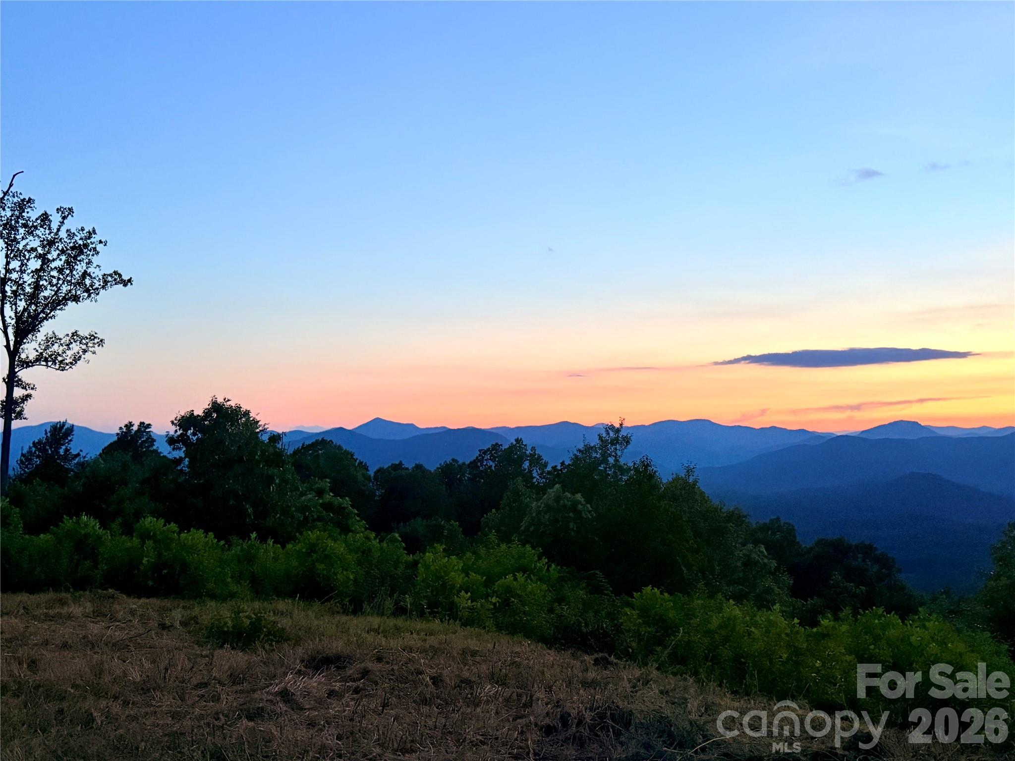 0 Shoal Ridge Lane 161.95+/- Acres Property Photo 39
