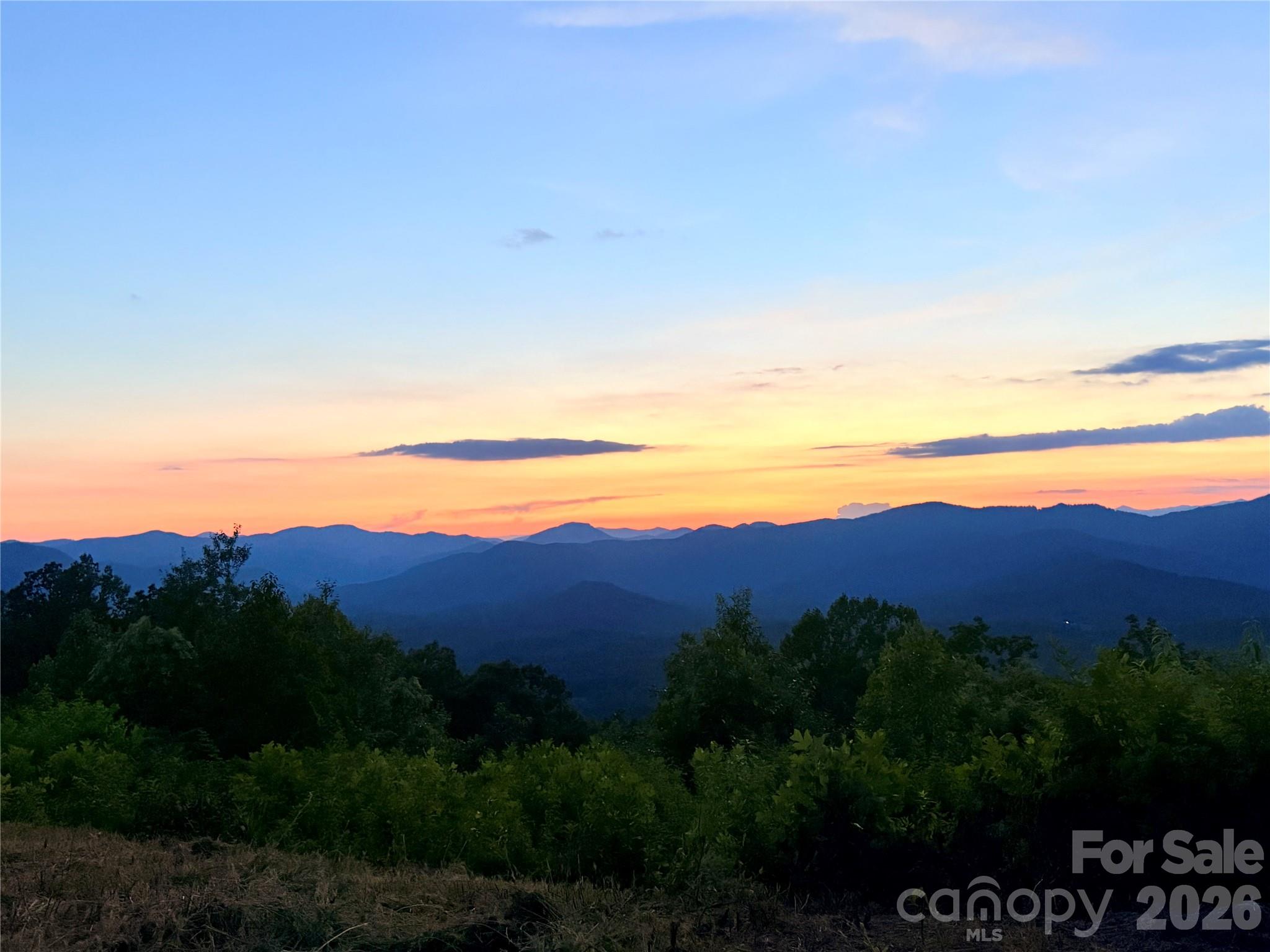 0 Shoal Ridge Lane 161.95+/- Acres Property Photo 40