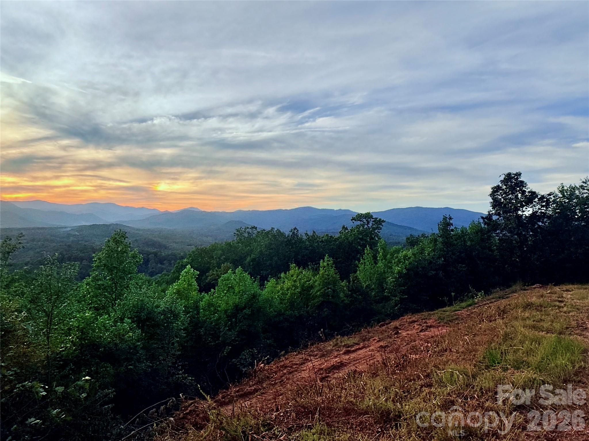 0 Shoal Ridge Lane 161.95+/- Acres Property Photo 44