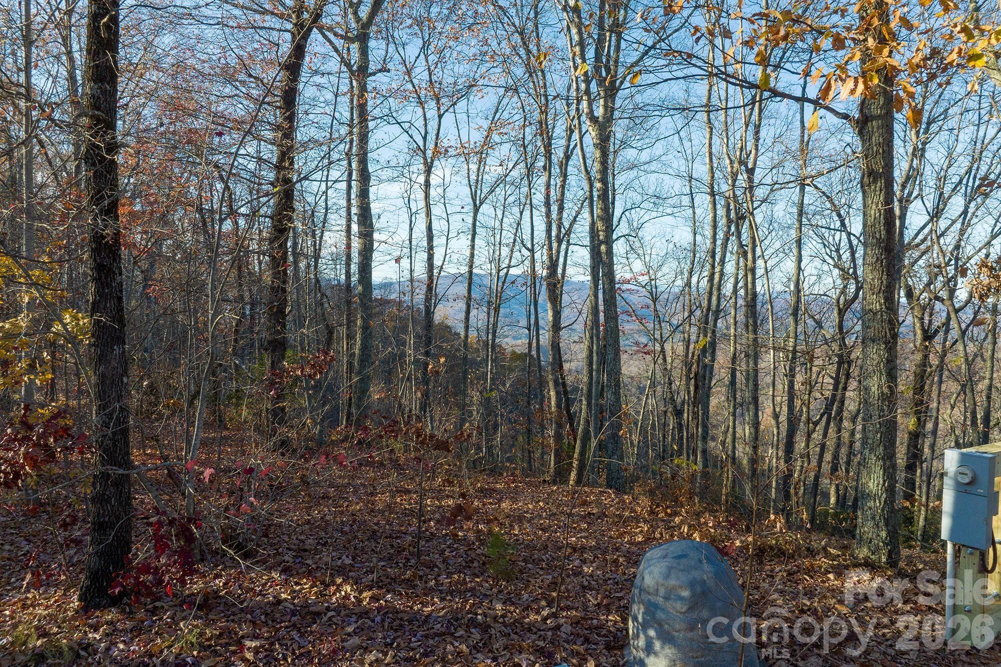 0 Shoal Ridge Lane 161.95+/- Acres Property Photo 48
