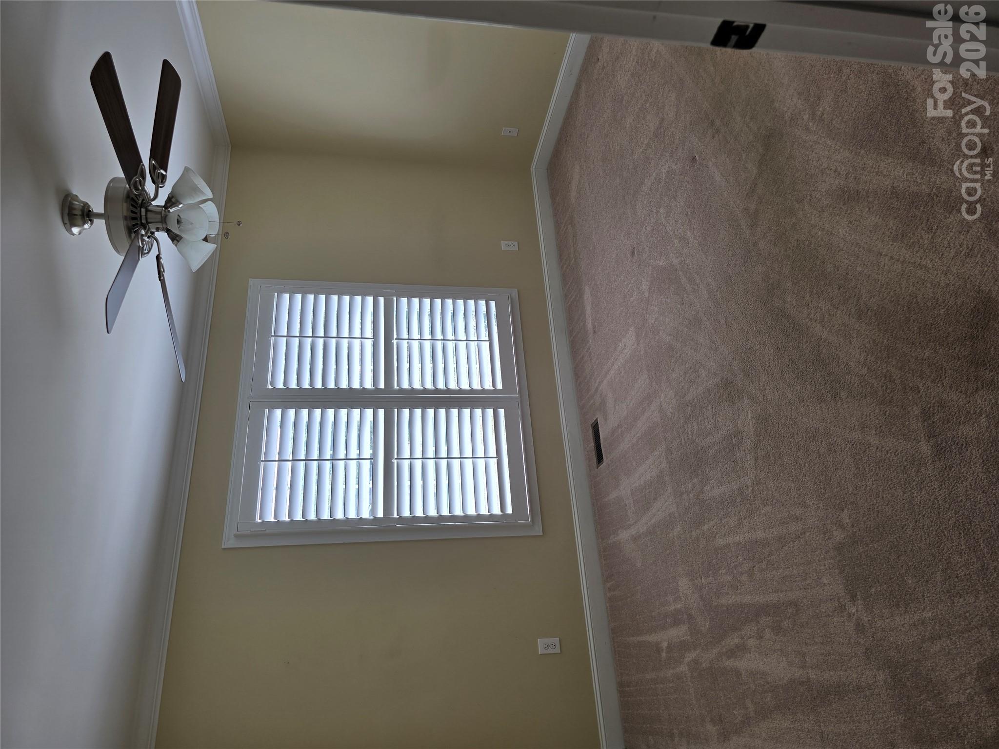 587 Marigold Drive Property Photo 22