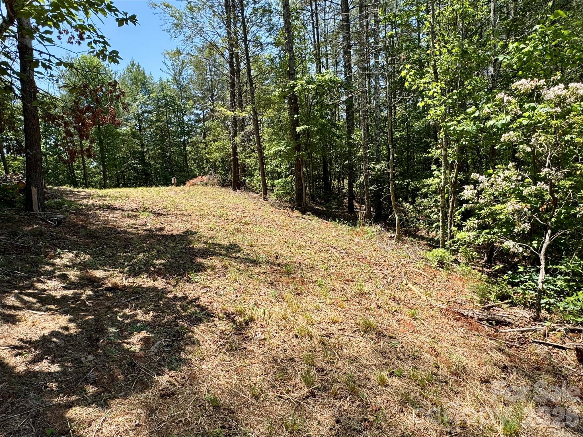 Lot 731, 5971 Box Turtle Run 731 Property Photo 5