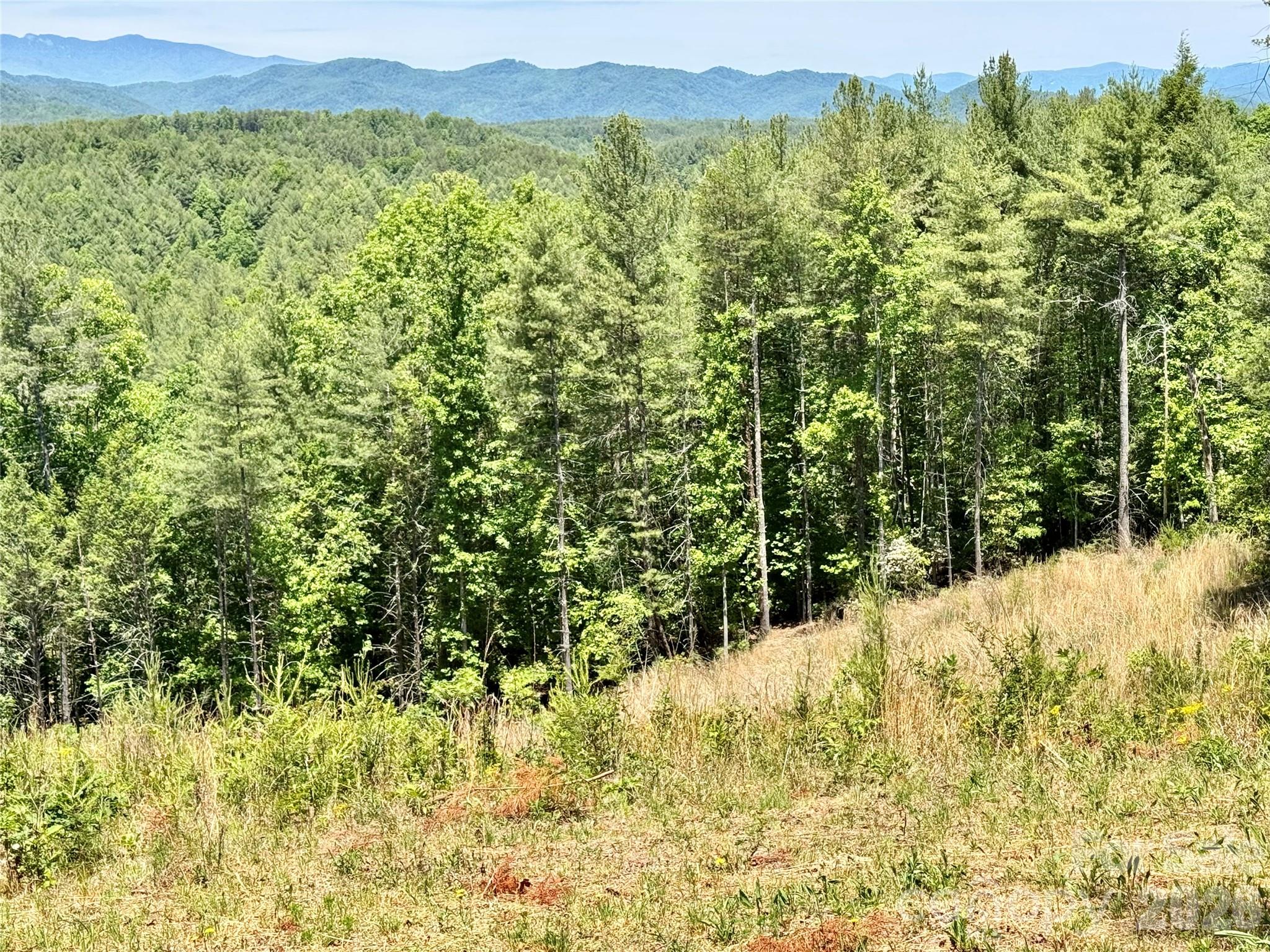 Lot 731, 5971 Box Turtle Run 731 Property Photo 6