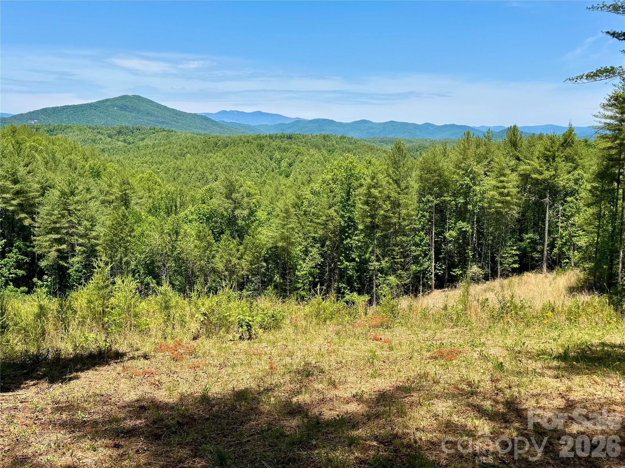 Lot 731, 5971 Box Turtle Run 731 Property Photo 9