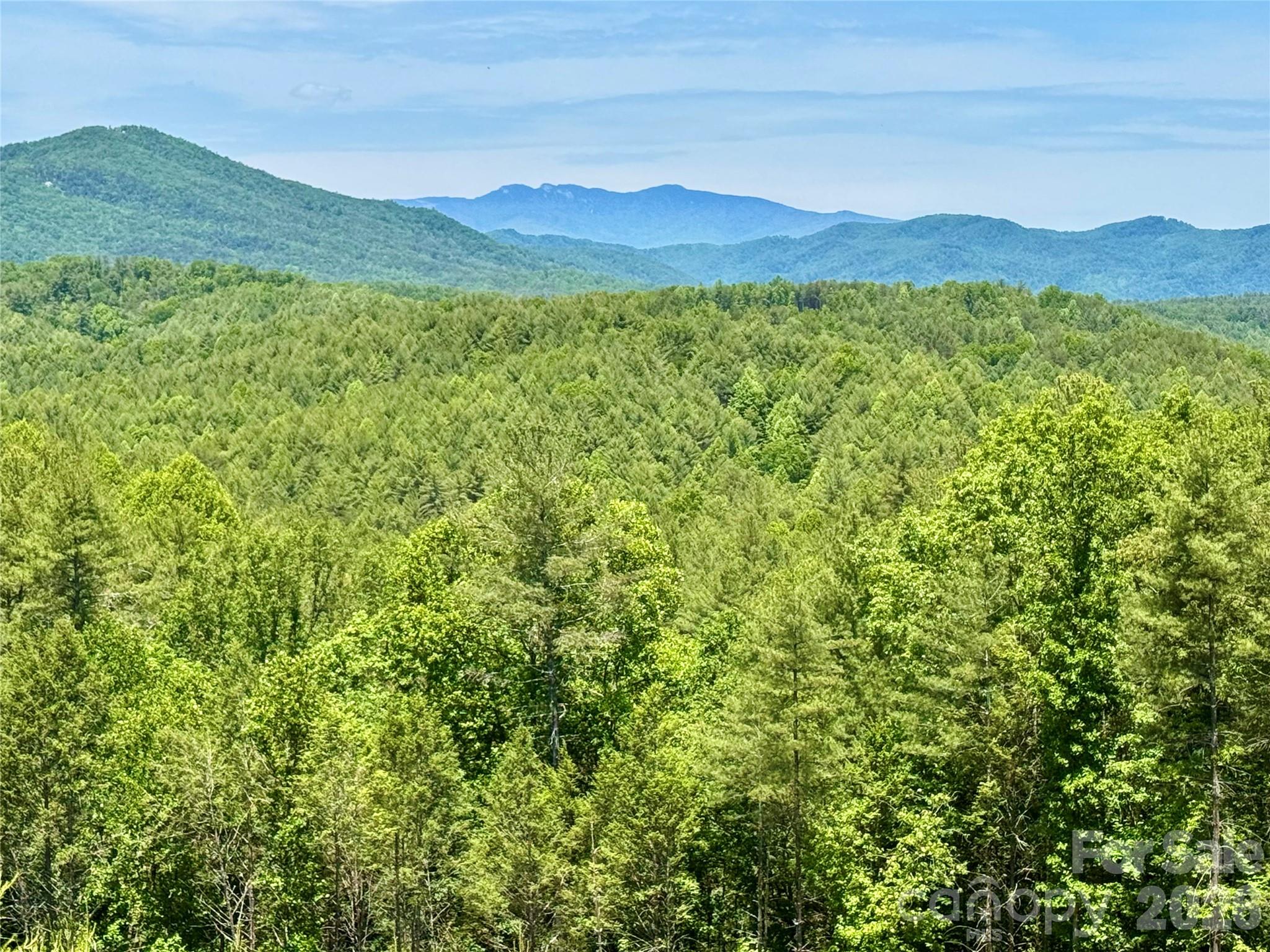 Lot 731, 5971 Box Turtle Run 731 Property Photo 10