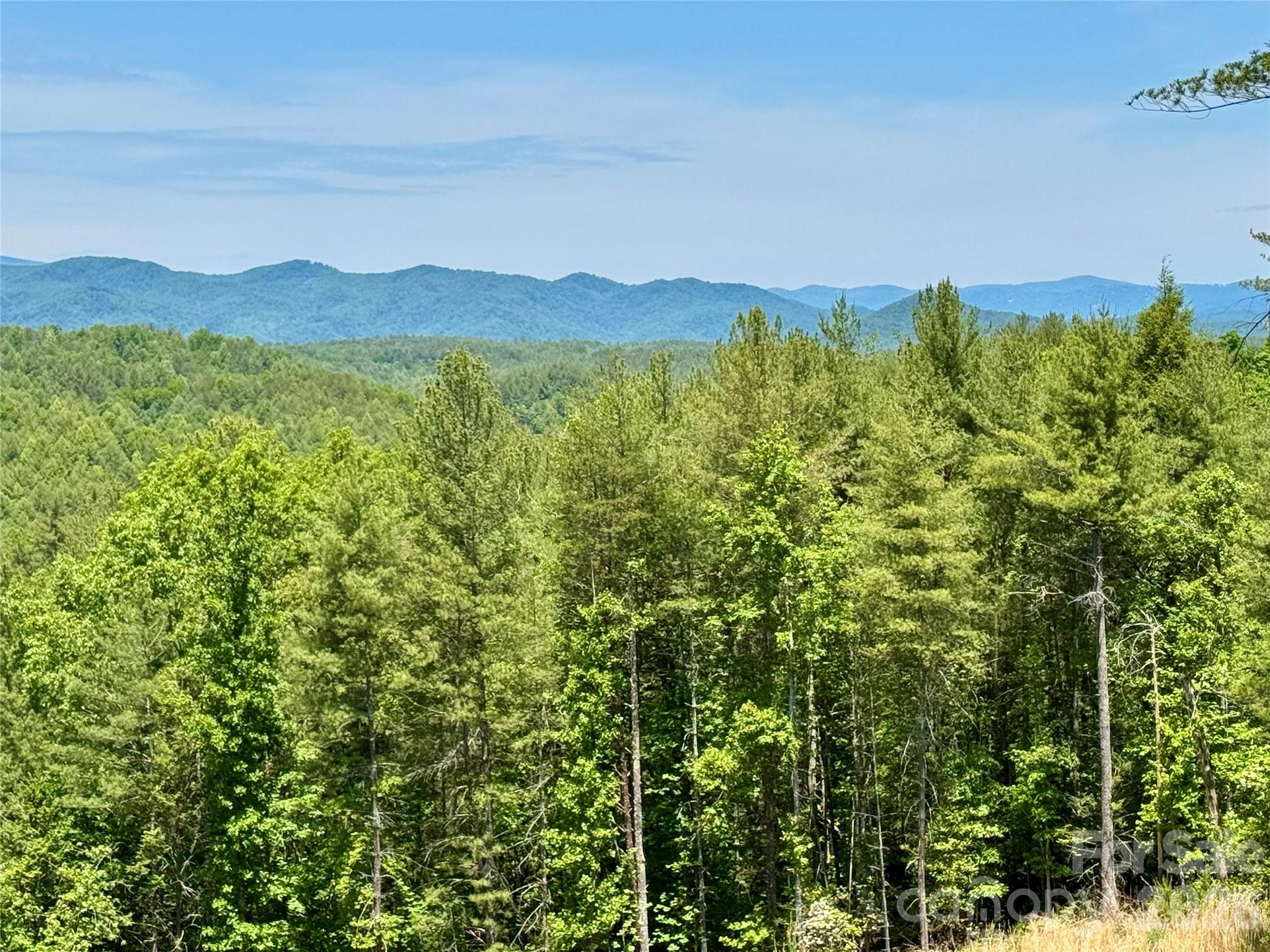 Lot 731, 5971 Box Turtle Run 731 Property Photo 11