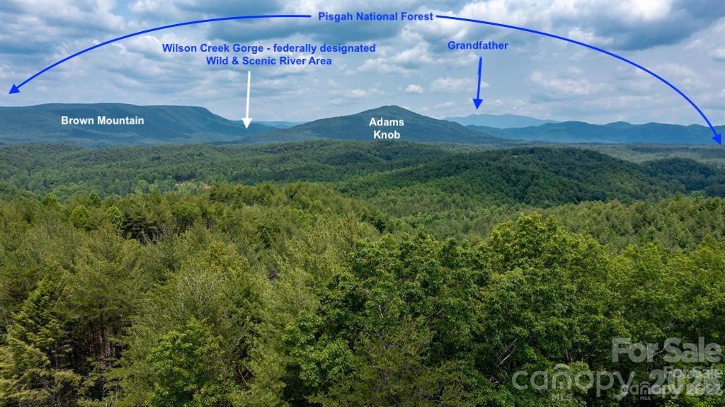 Lot 731, 5971 Box Turtle Run 731 Property Photo 12