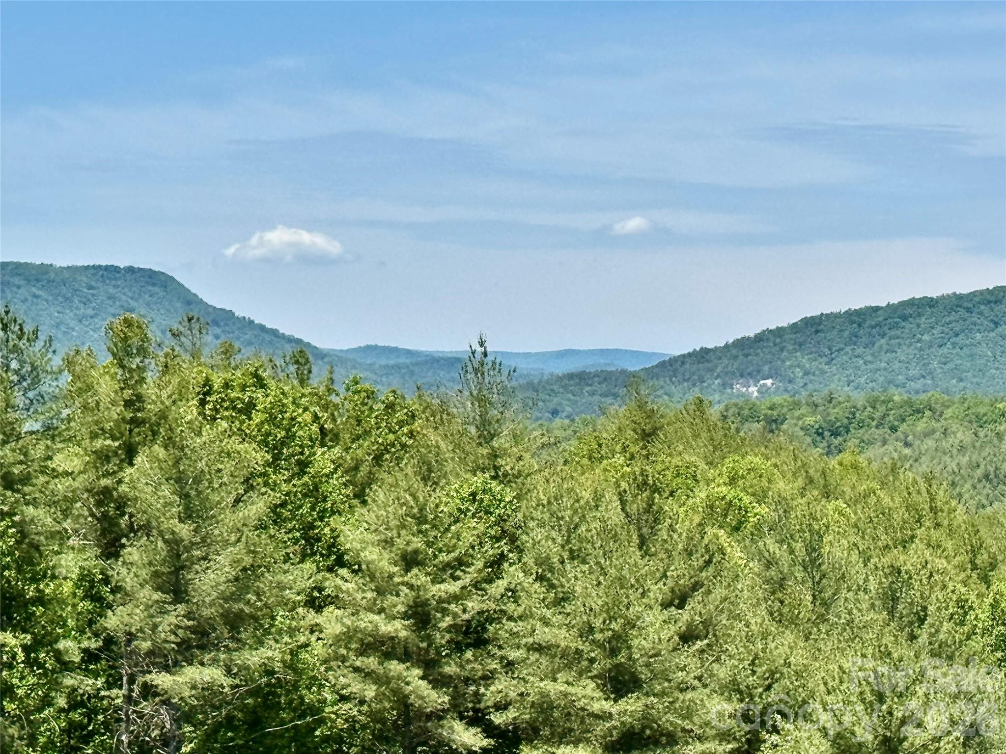 Lot 731, 5971 Box Turtle Run 731 Property Photo 13