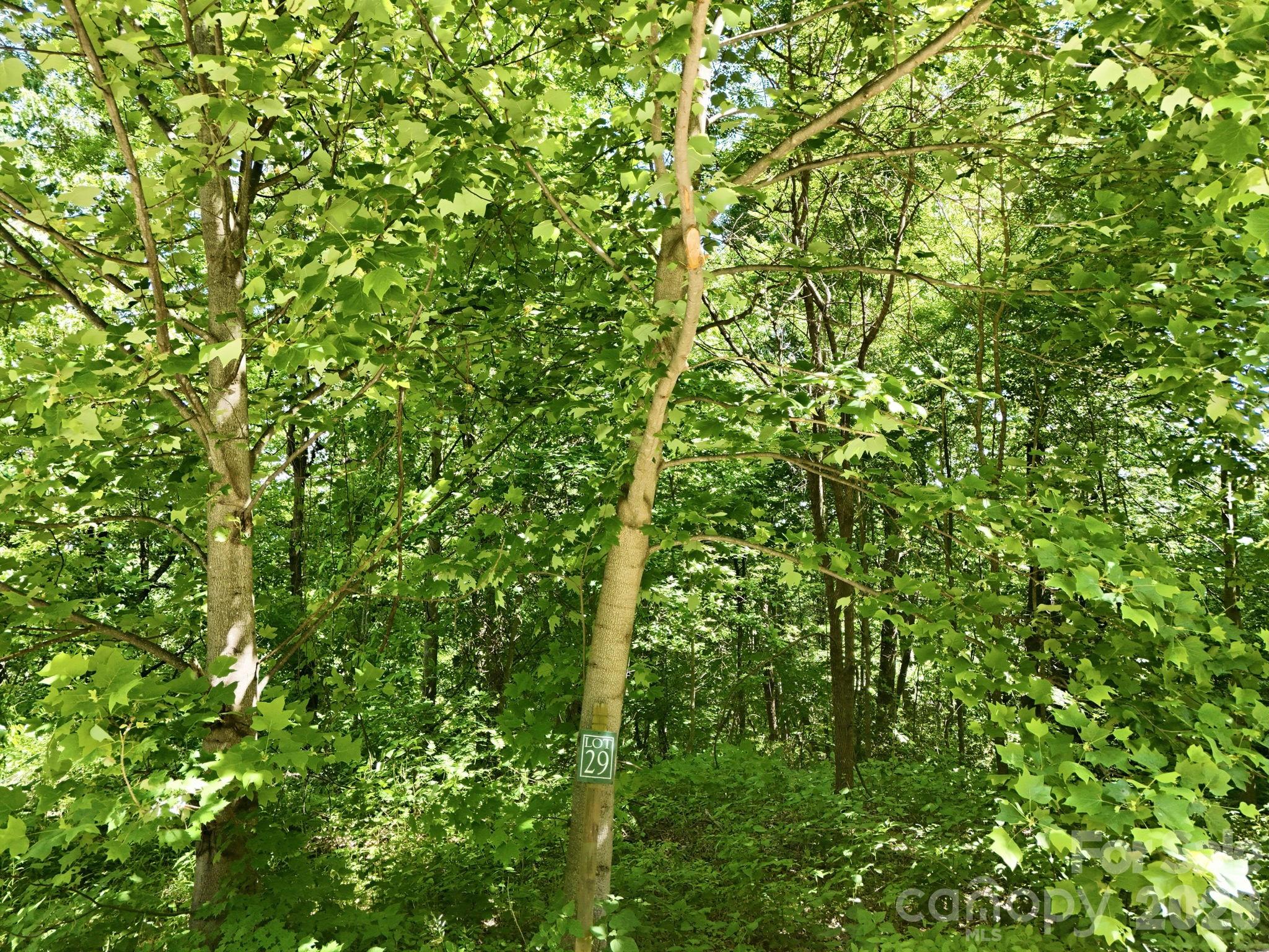 99999 Cliffledge Trail Property Photo 11