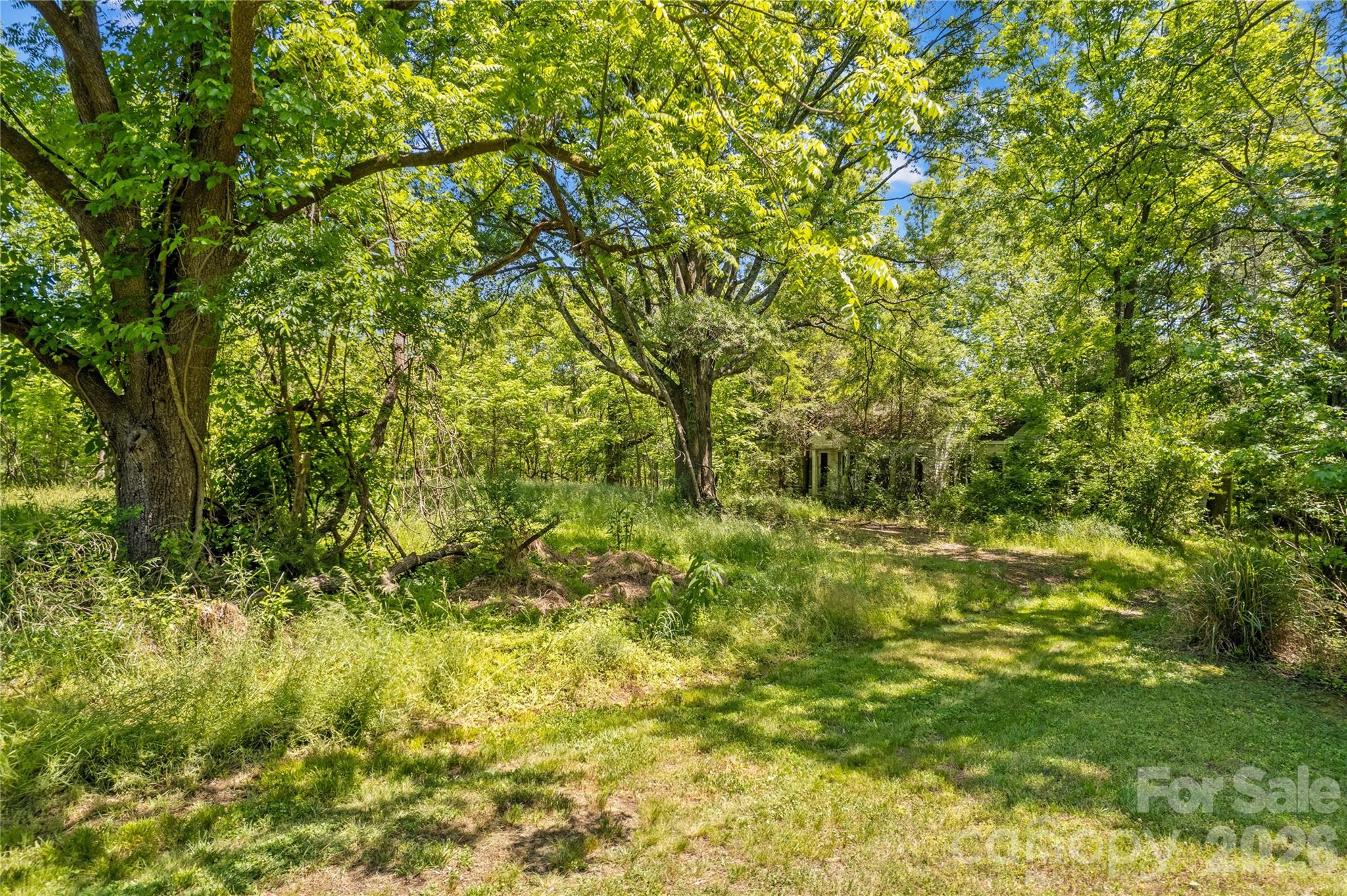 155 Evening Star Drive Property Photo 3