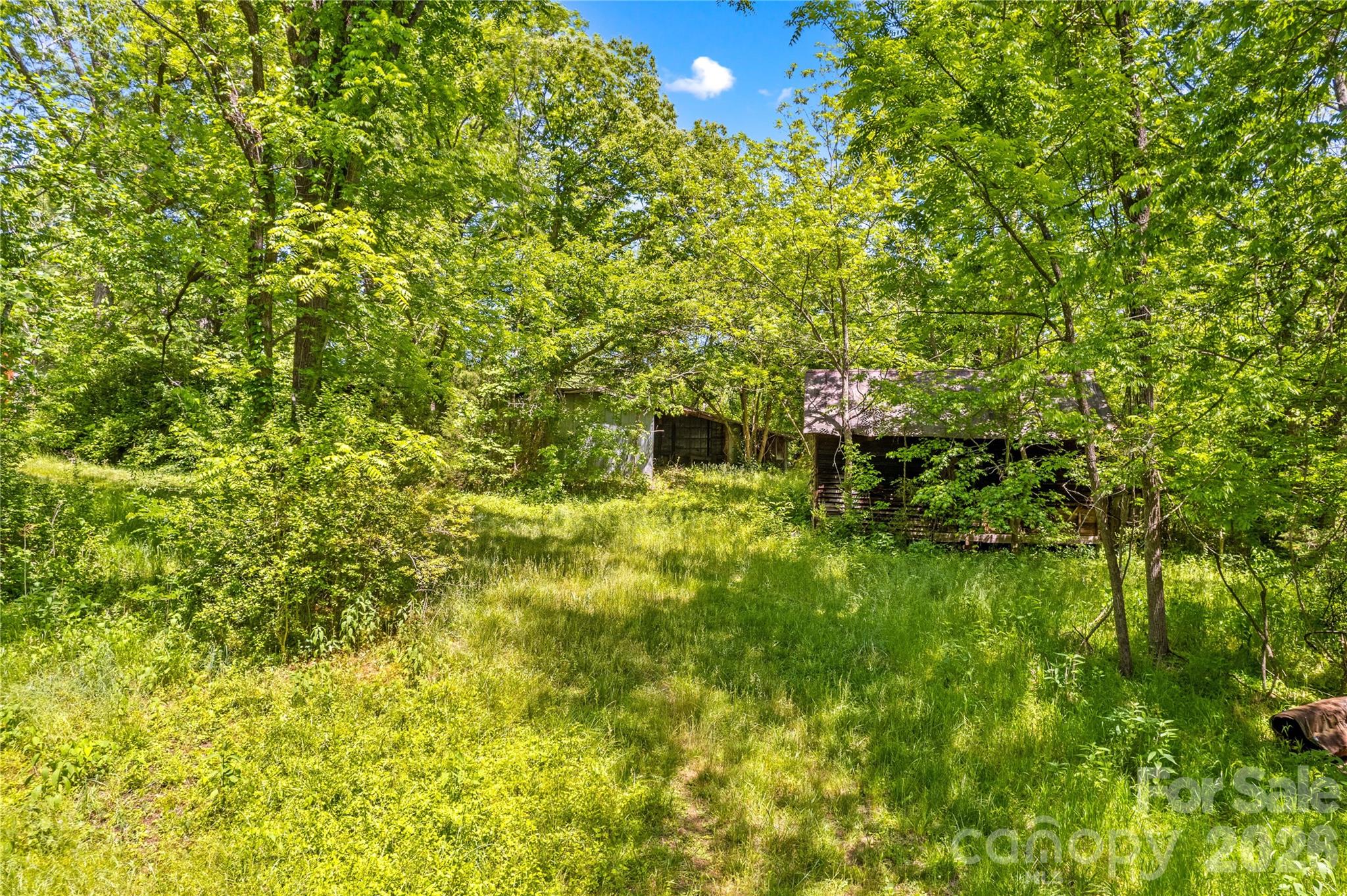 155 Evening Star Drive Property Photo 9