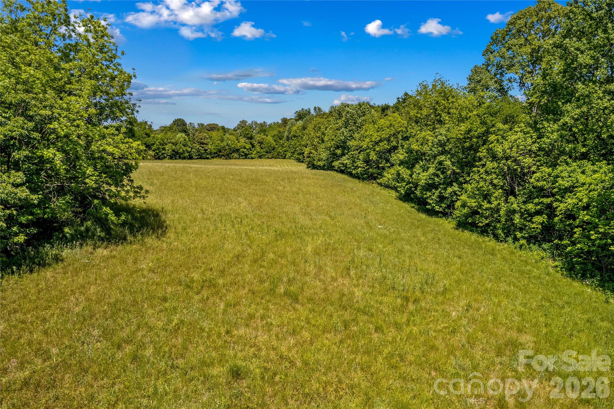 155 Evening Star Drive Property Photo 18