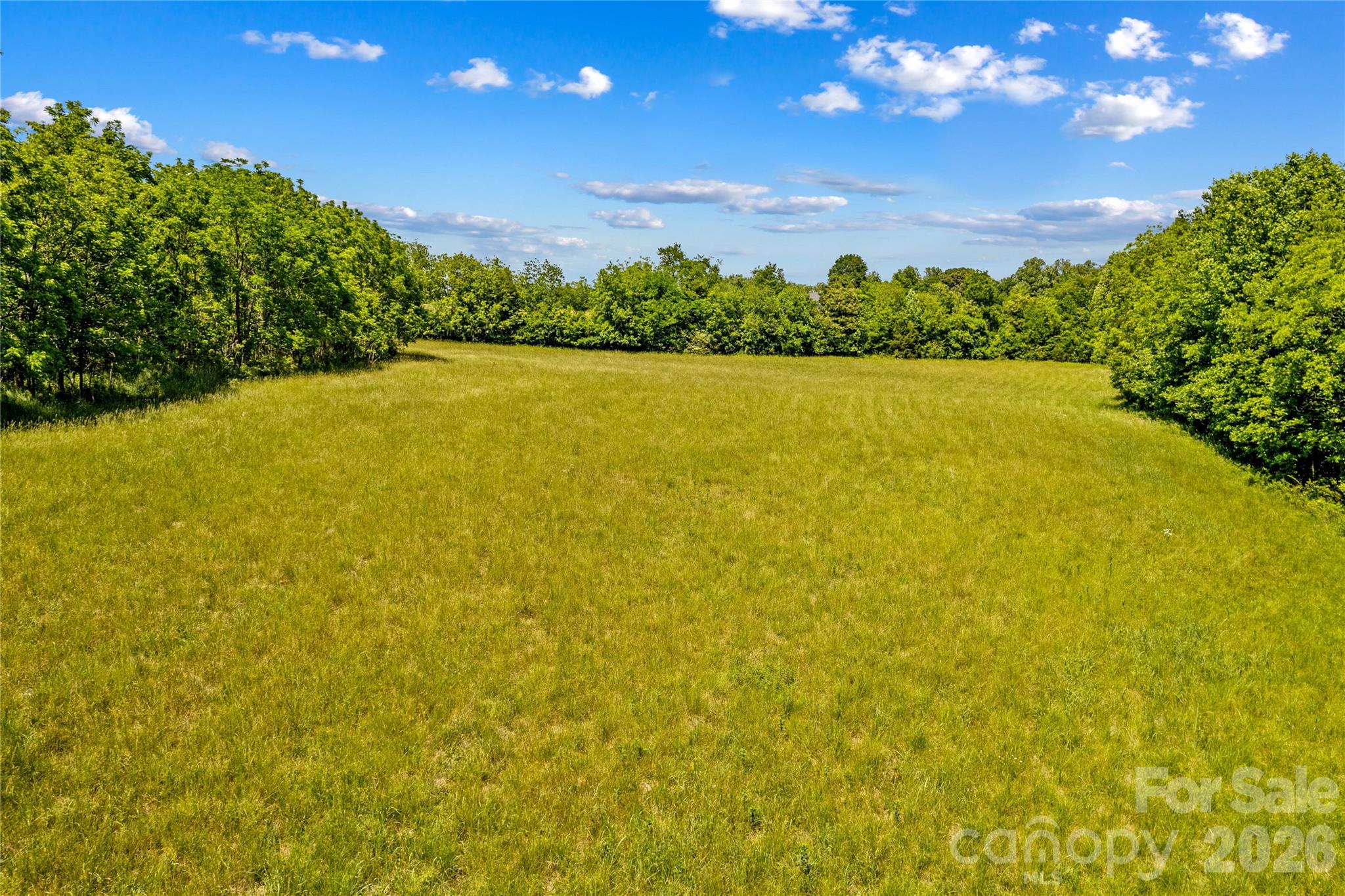 155 Evening Star Drive Property Photo 19