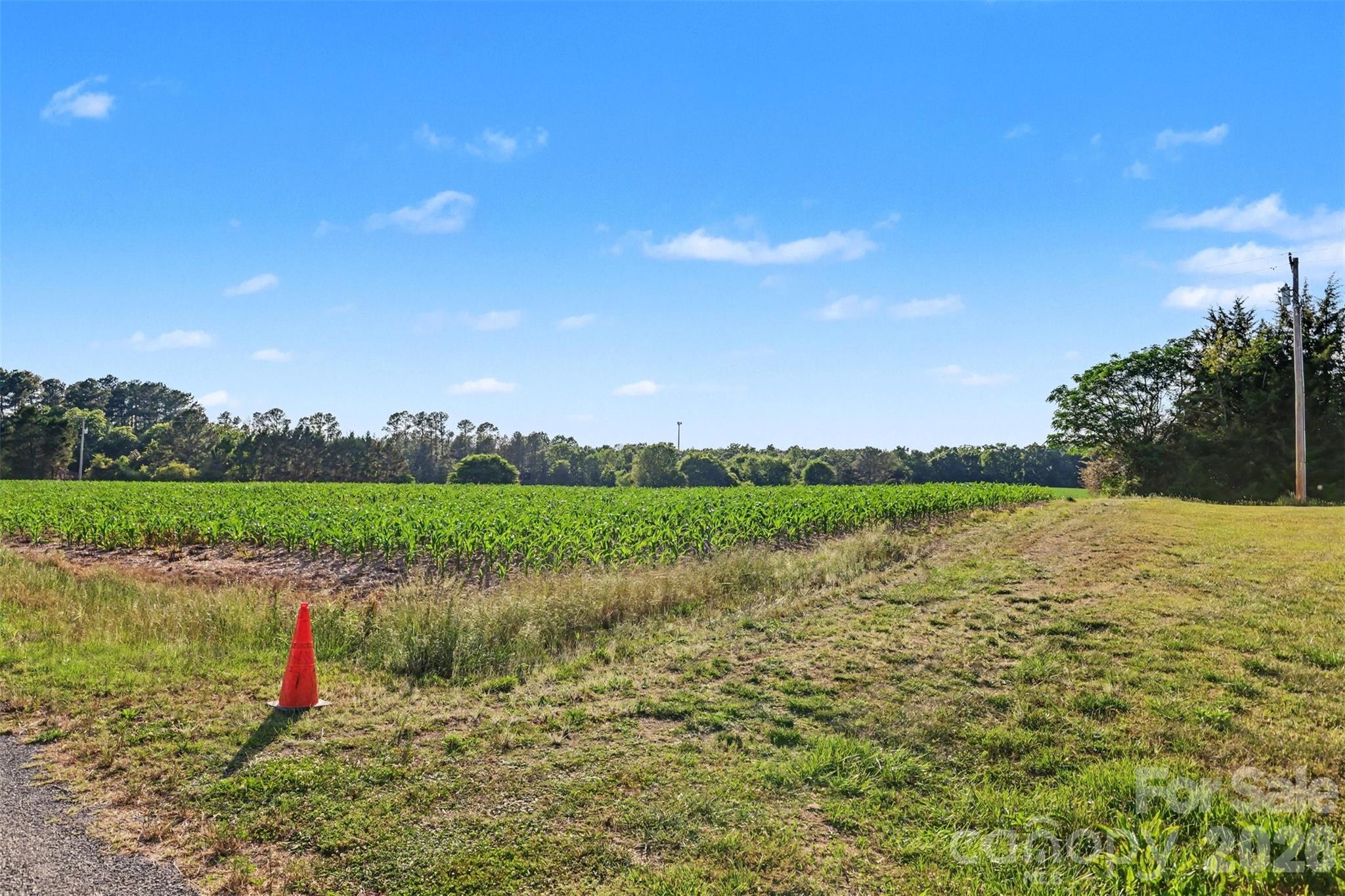 215 Eubanks Road Property Photo 9