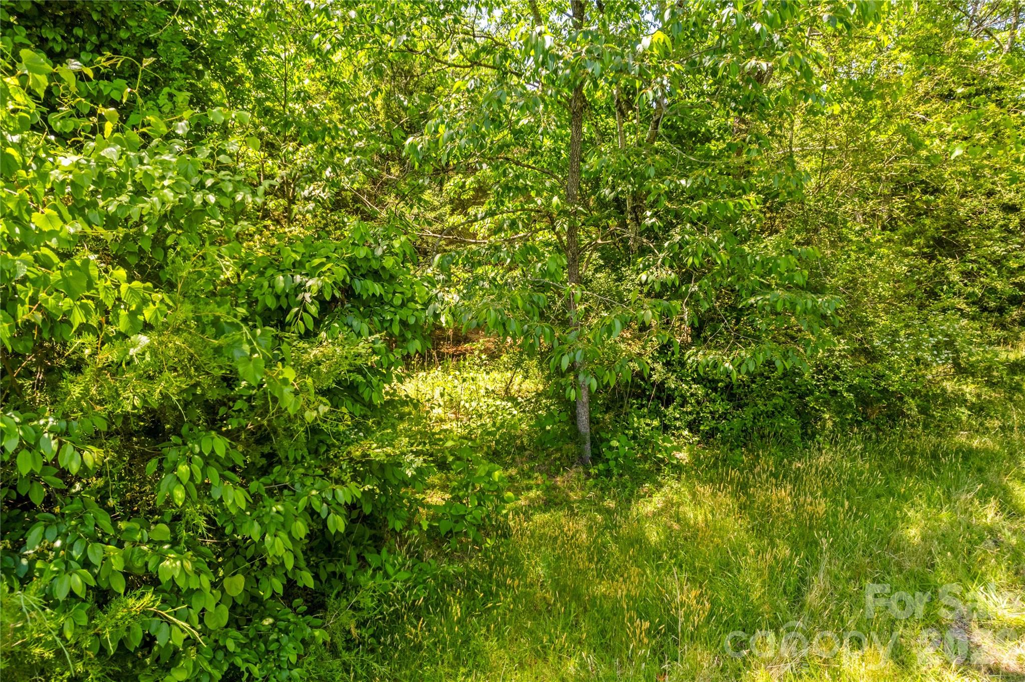 190 Sheffield Road Property Photo 5