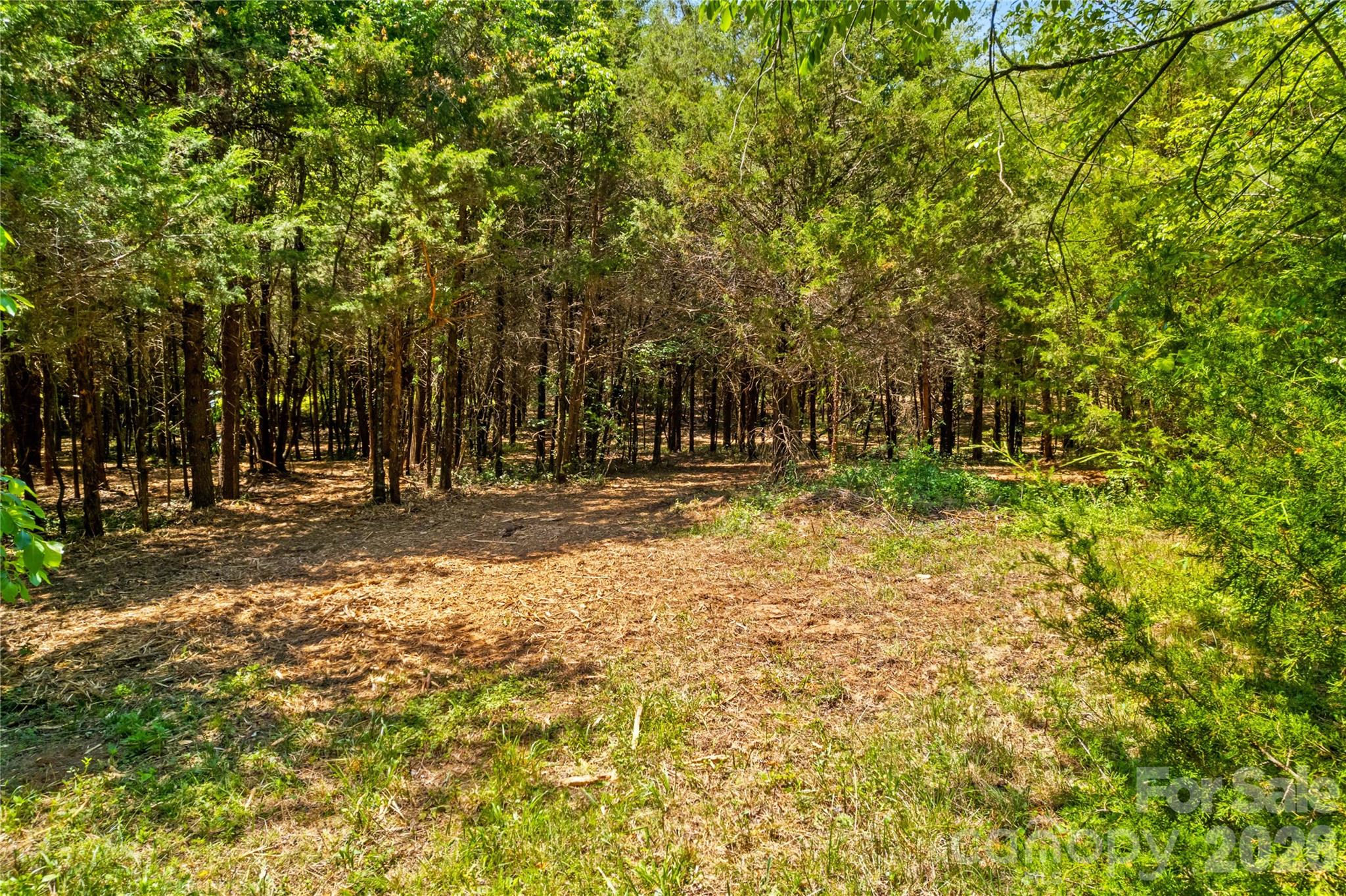 190 Sheffield Road Property Photo 8