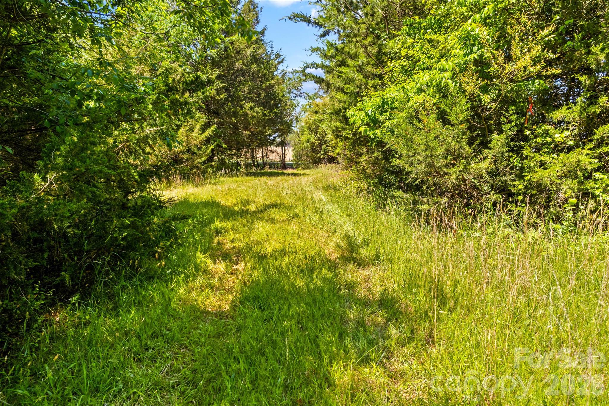 190 Sheffield Road Property Photo 10