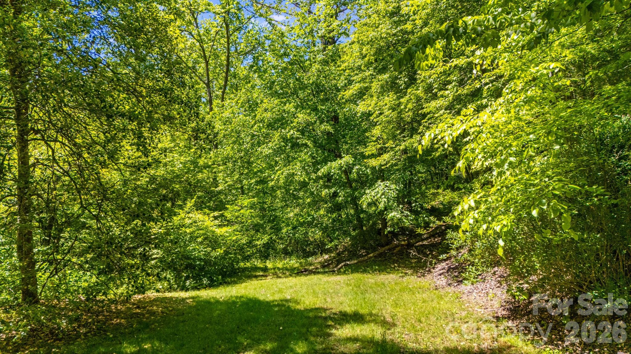 1111 Ammons Branch Road Property Photo 33