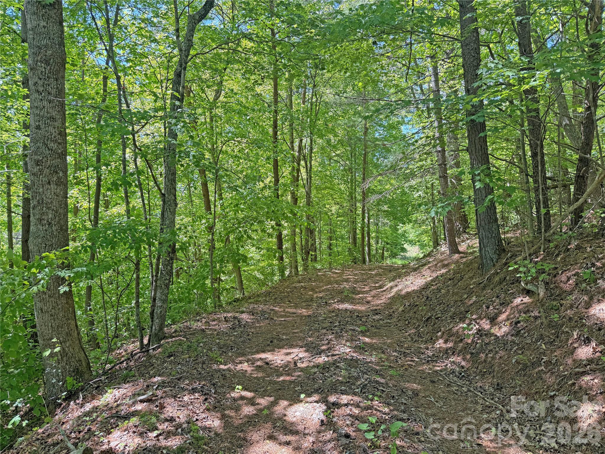 1111 Ammons Branch Road Property Photo 35