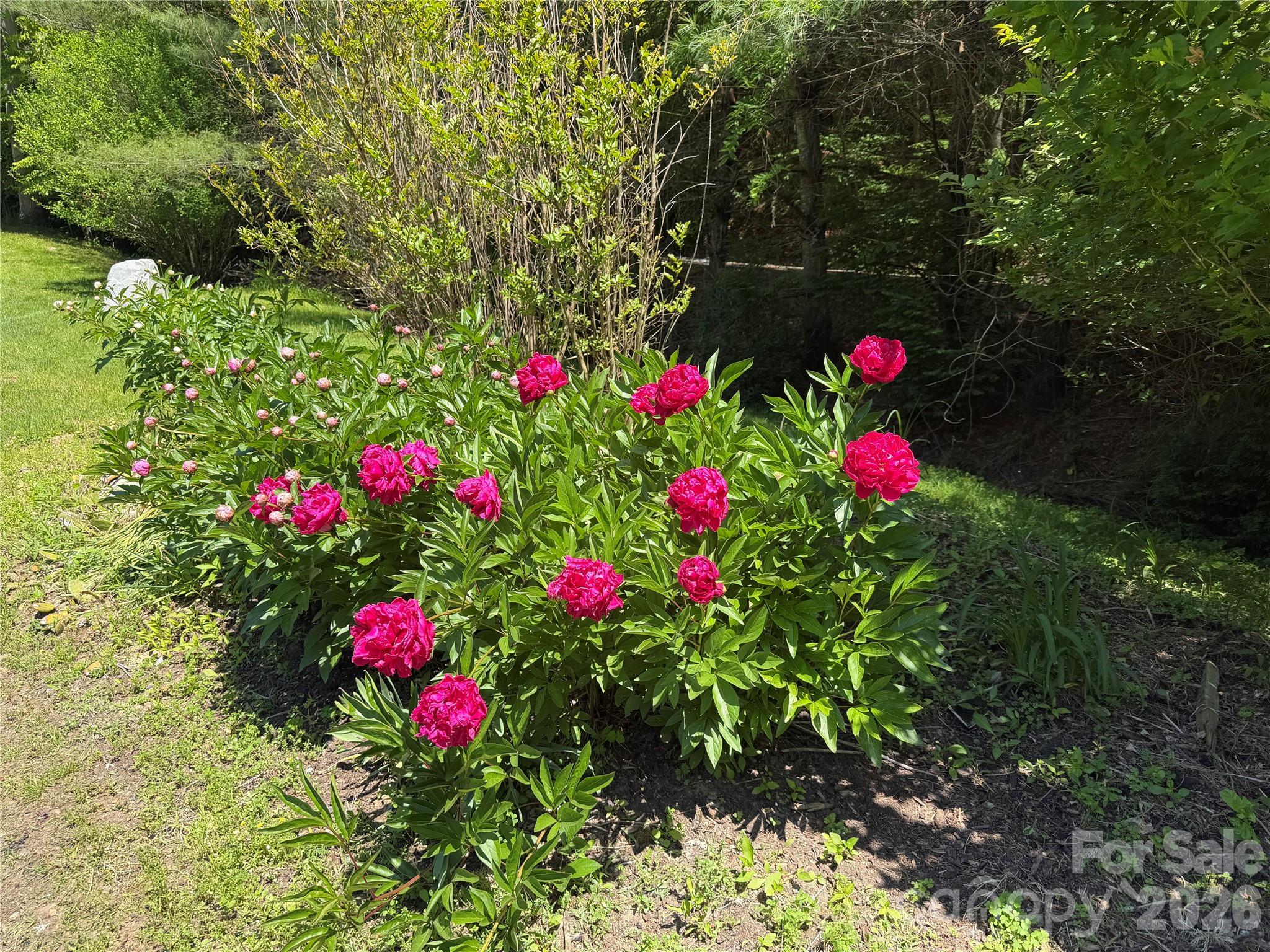 1111 Ammons Branch Road Property Photo 37
