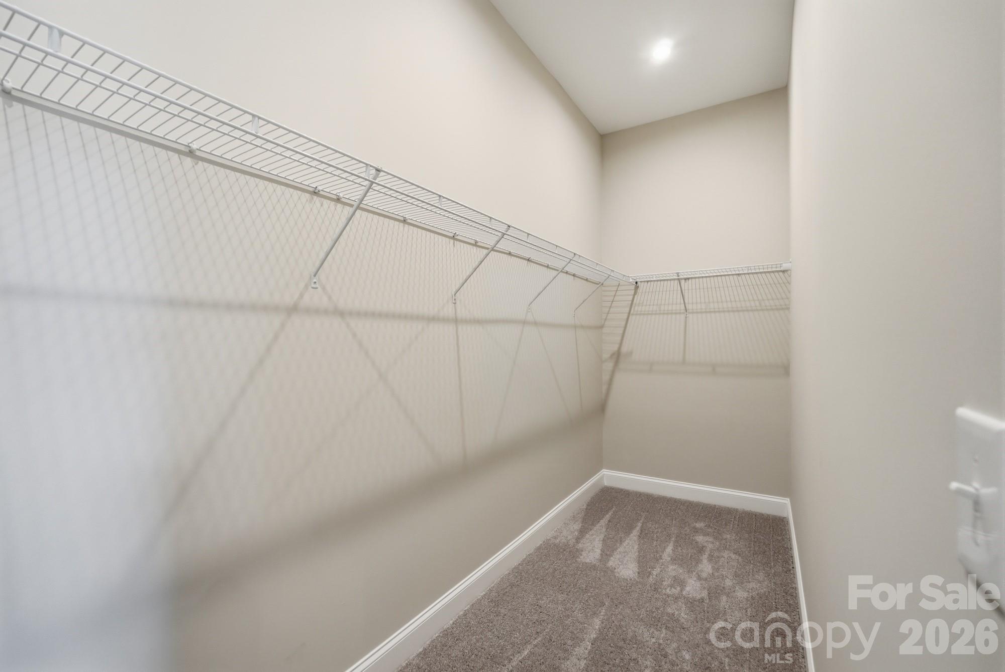 1009 Ballyfin Way Property Photo 31