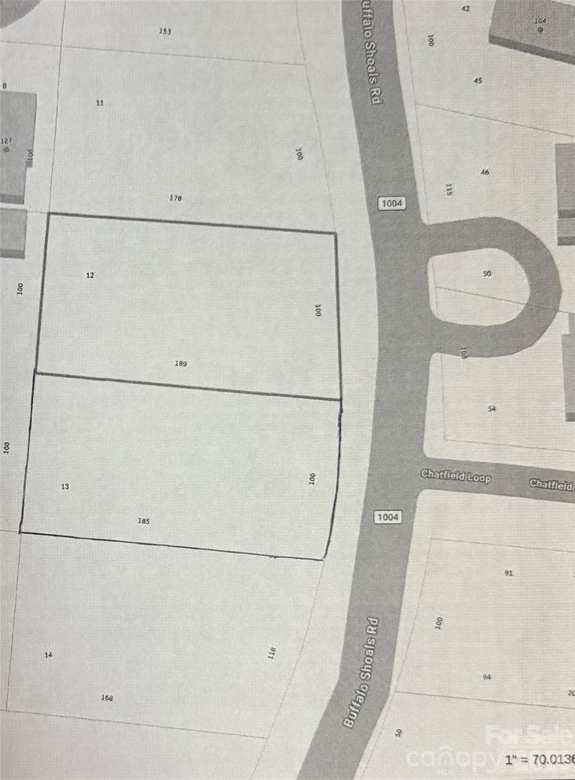 0 Buffalo Shoals Road Property Photo 3