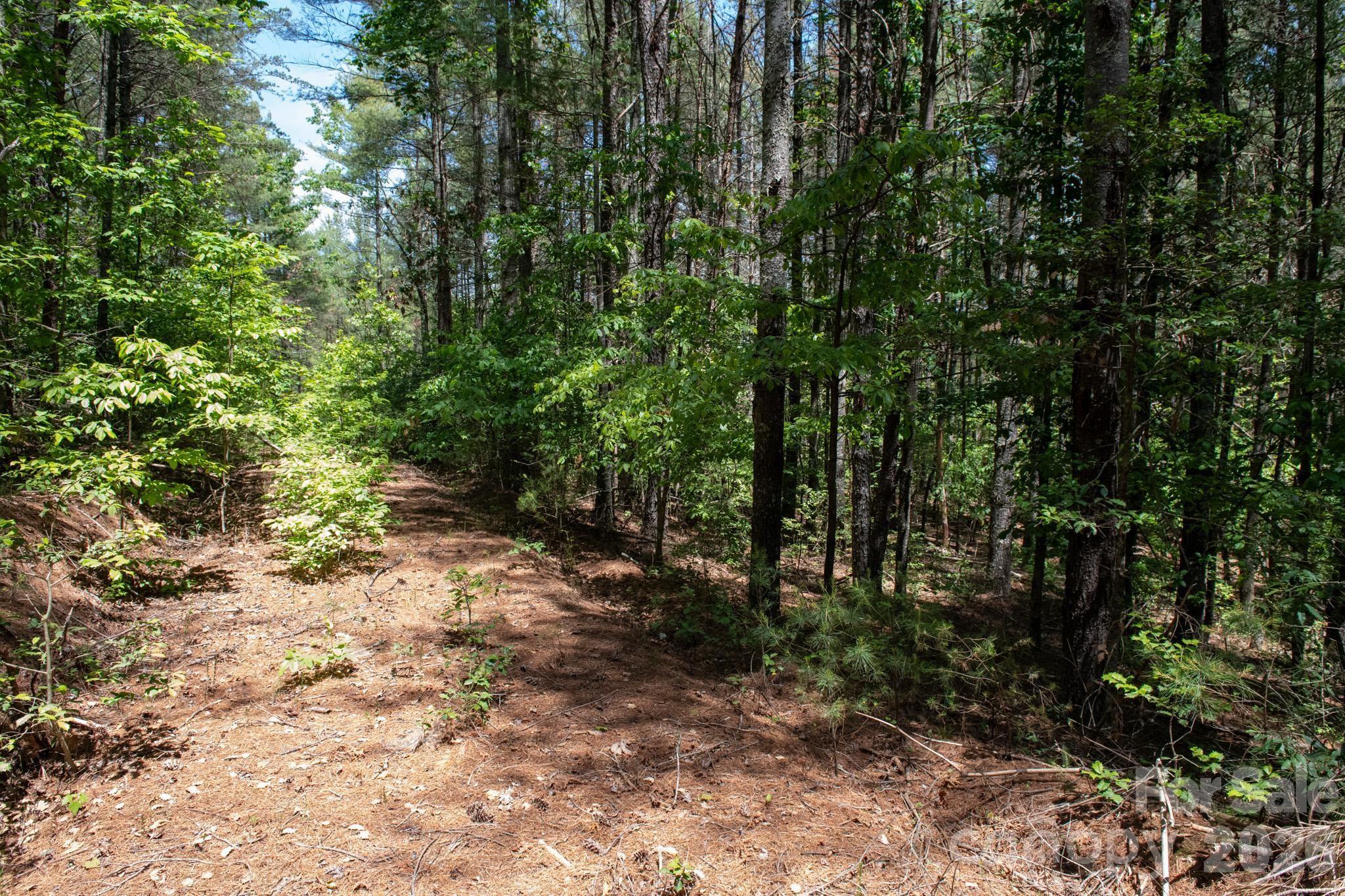 000 Narrow Gauge Drive 18 Property Photo 6