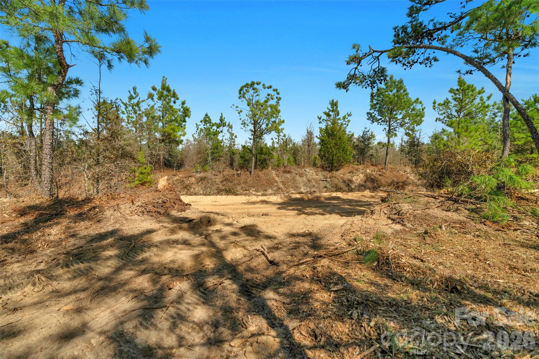 931 Charlie Johnson Road 5 Property Photo 15