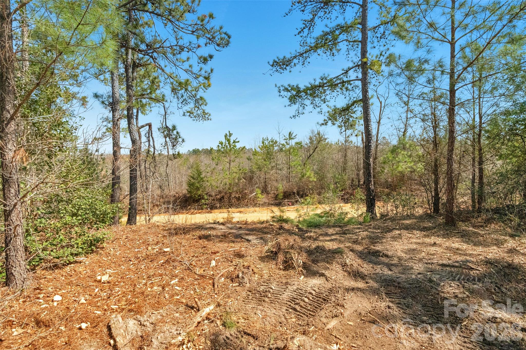 931 Charlie Johnson Road 5 Property Photo 33