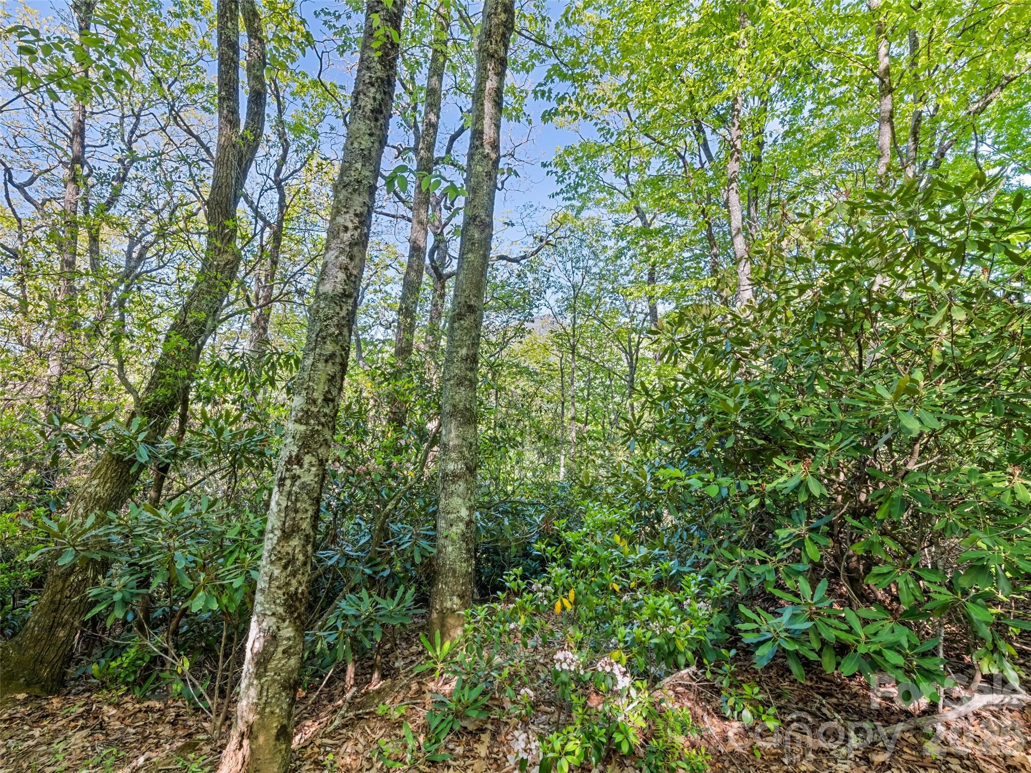 #19 Sleepy Hollow Lane Property Photo 1
