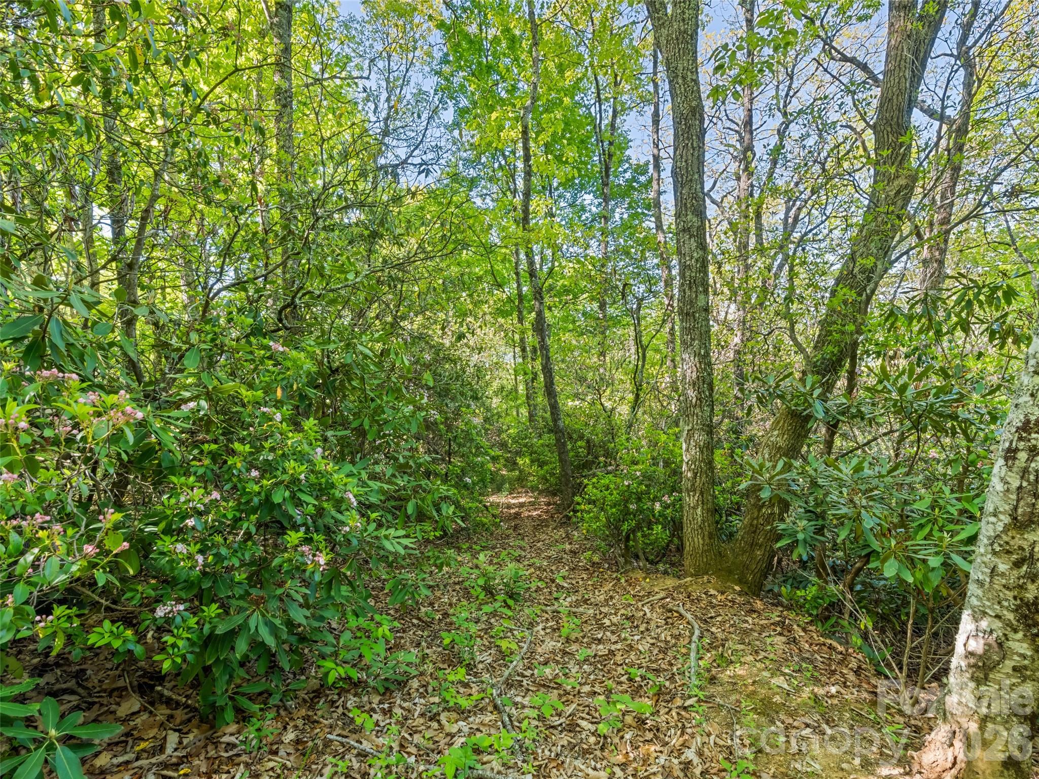 #19 Sleepy Hollow Lane Property Photo 2