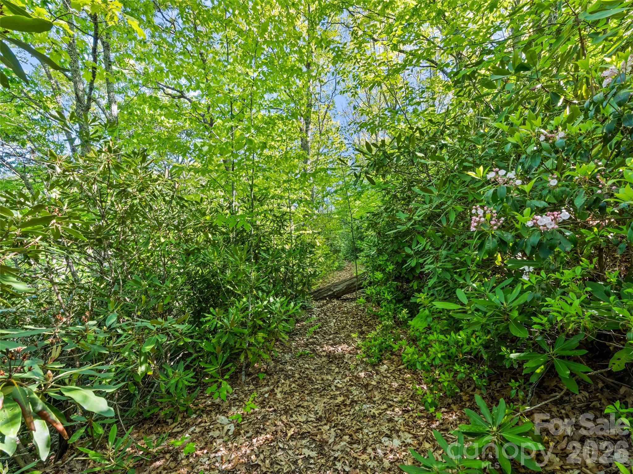 #19 Sleepy Hollow Lane Property Photo 3