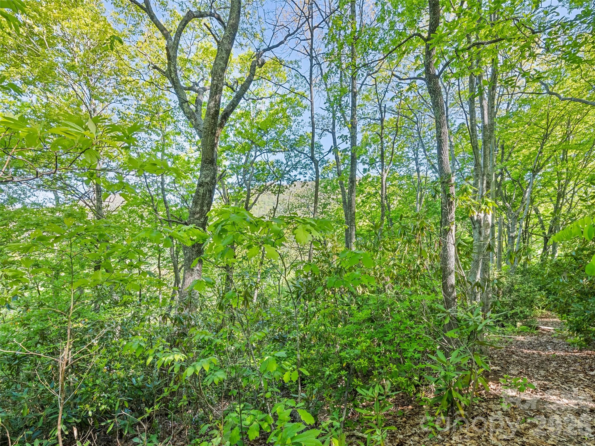 #19 Sleepy Hollow Lane Property Photo 4