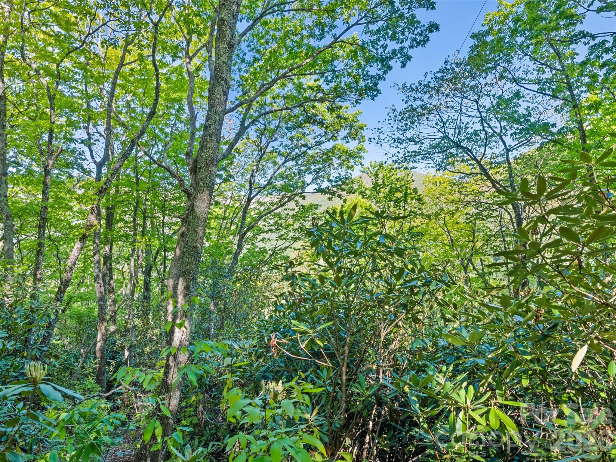 #19 Sleepy Hollow Lane Property Photo 5