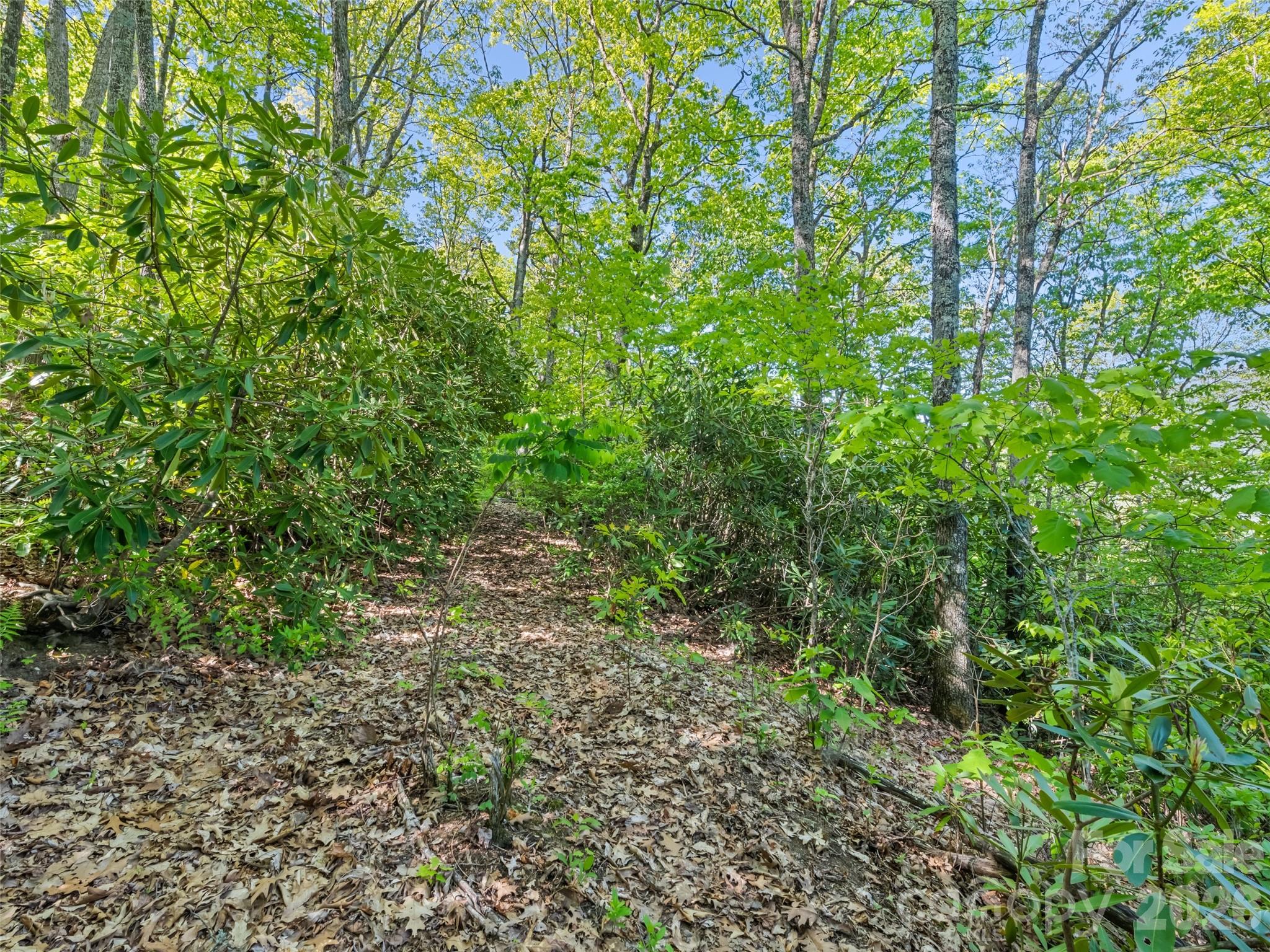 #19 Sleepy Hollow Lane Property Photo 6