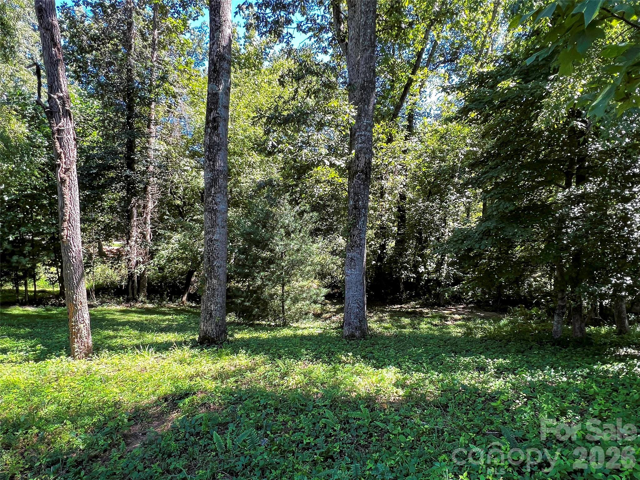 19 Mountain Orchid Way 77 Property Photo 7