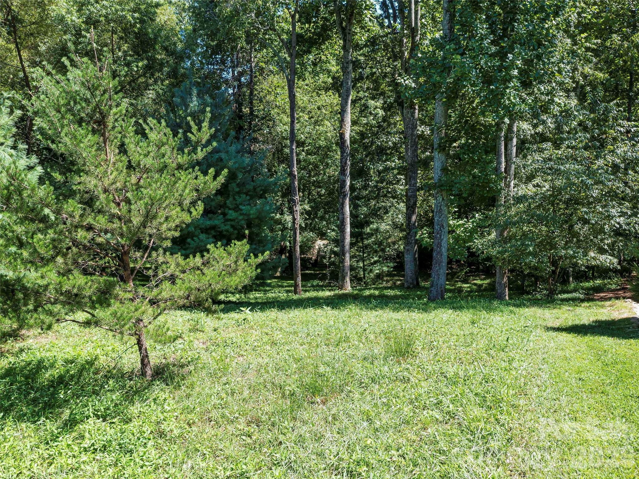 19 Mountain Orchid Way 77 Property Photo 8