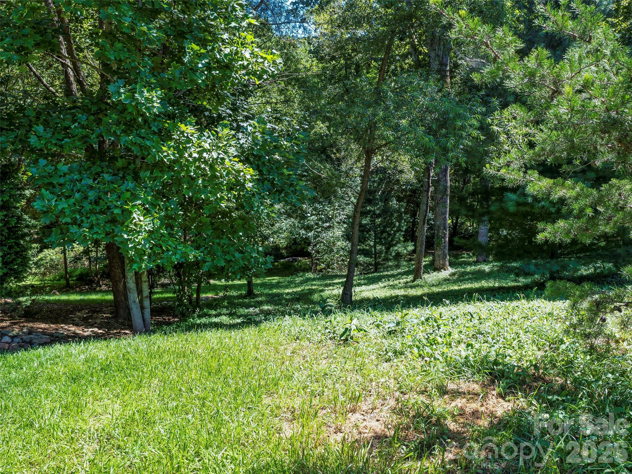 19 Mountain Orchid Way 77 Property Photo 9