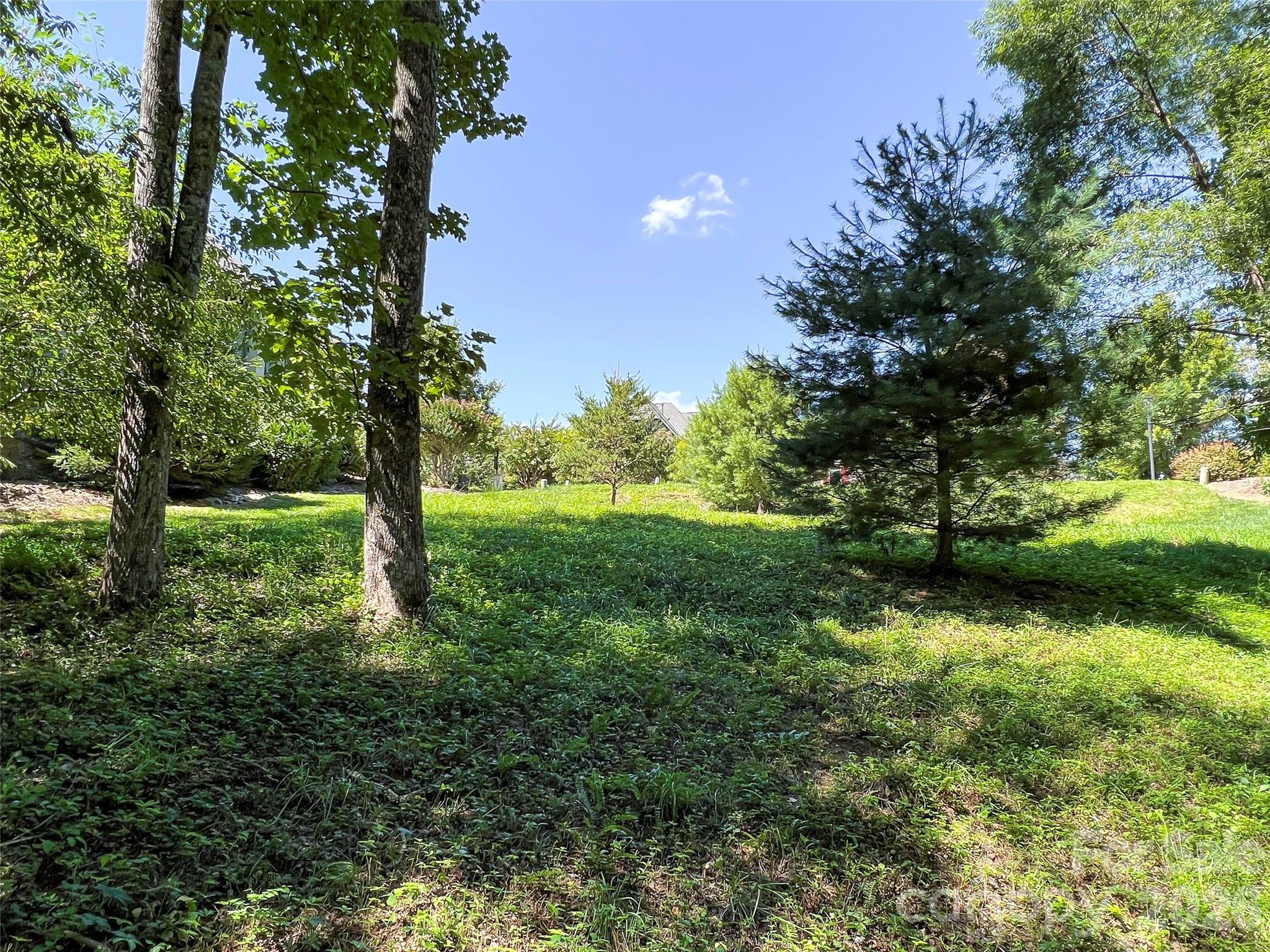 19 Mountain Orchid Way 77 Property Photo 10